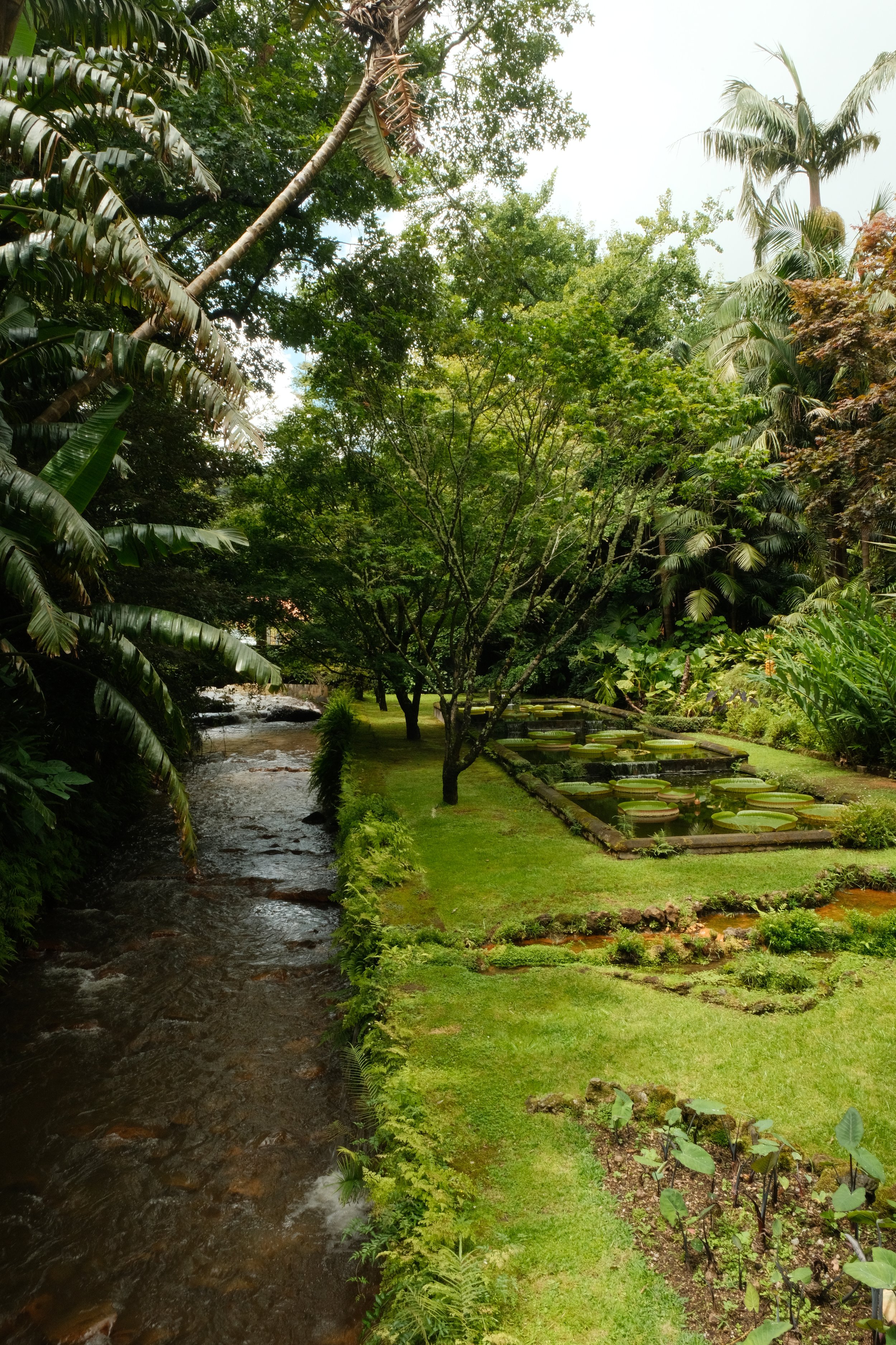 DSCF6960.JPG