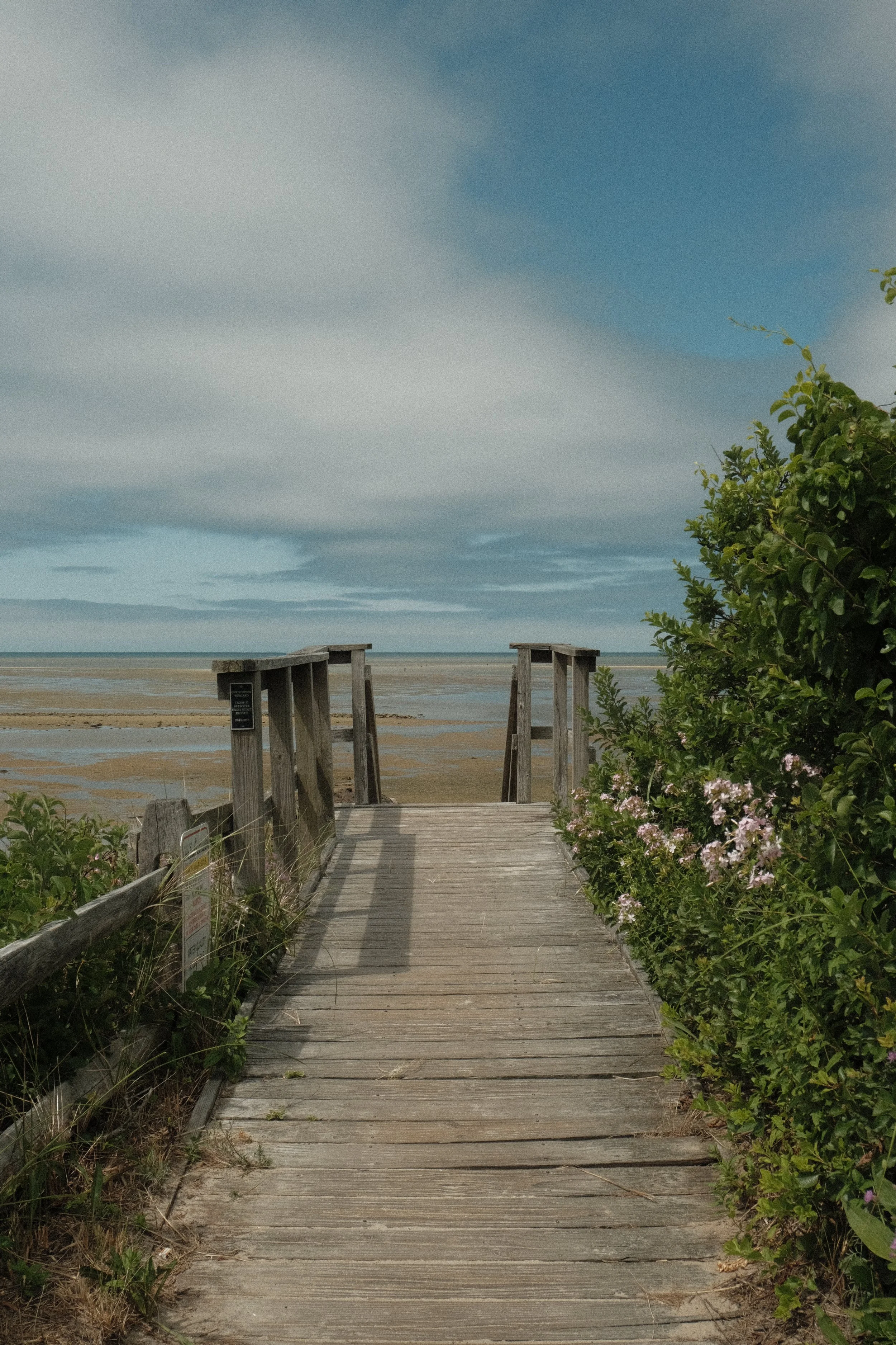 DSCF4792.jpg