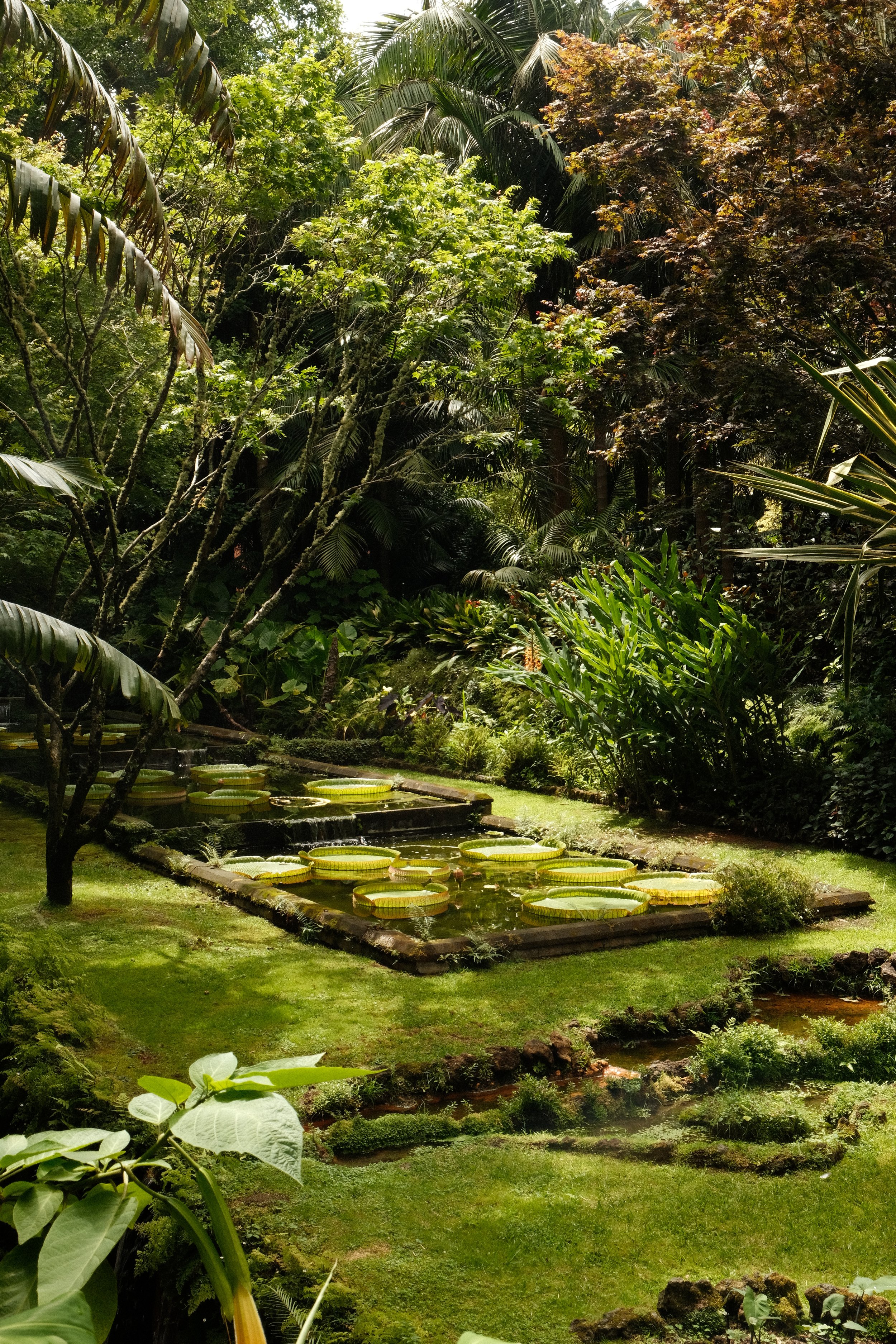DSCF7061.JPG