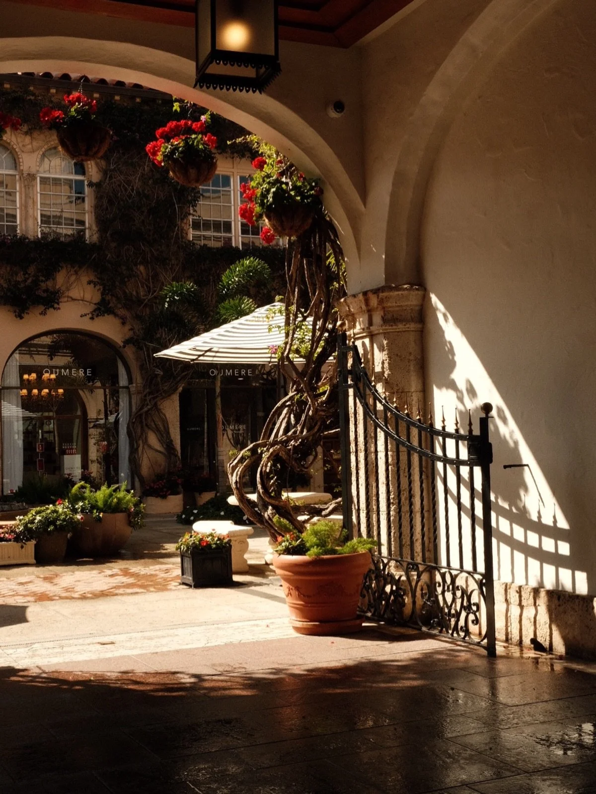 Morning sun on Palm Beach