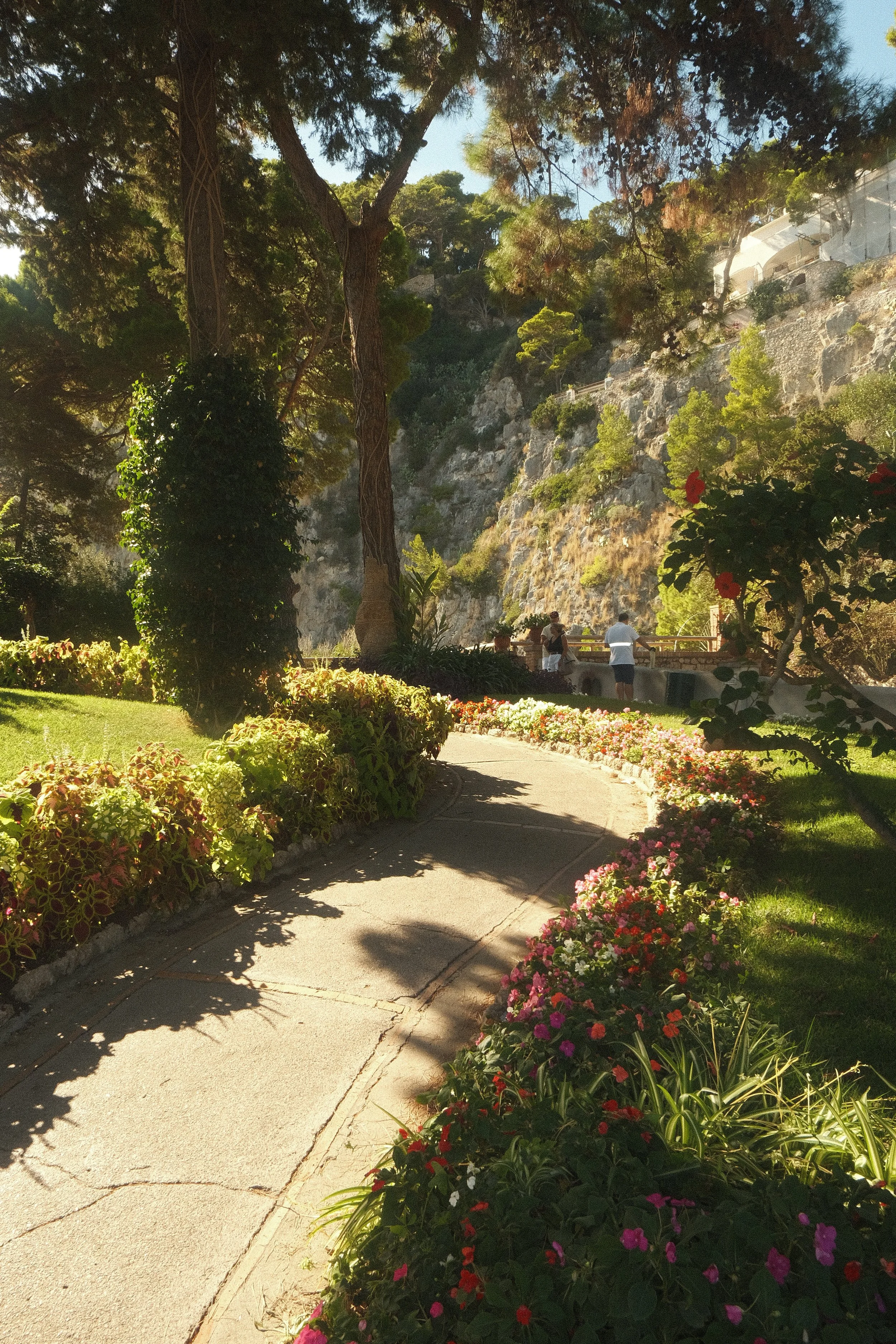 DSCF6724.JPG