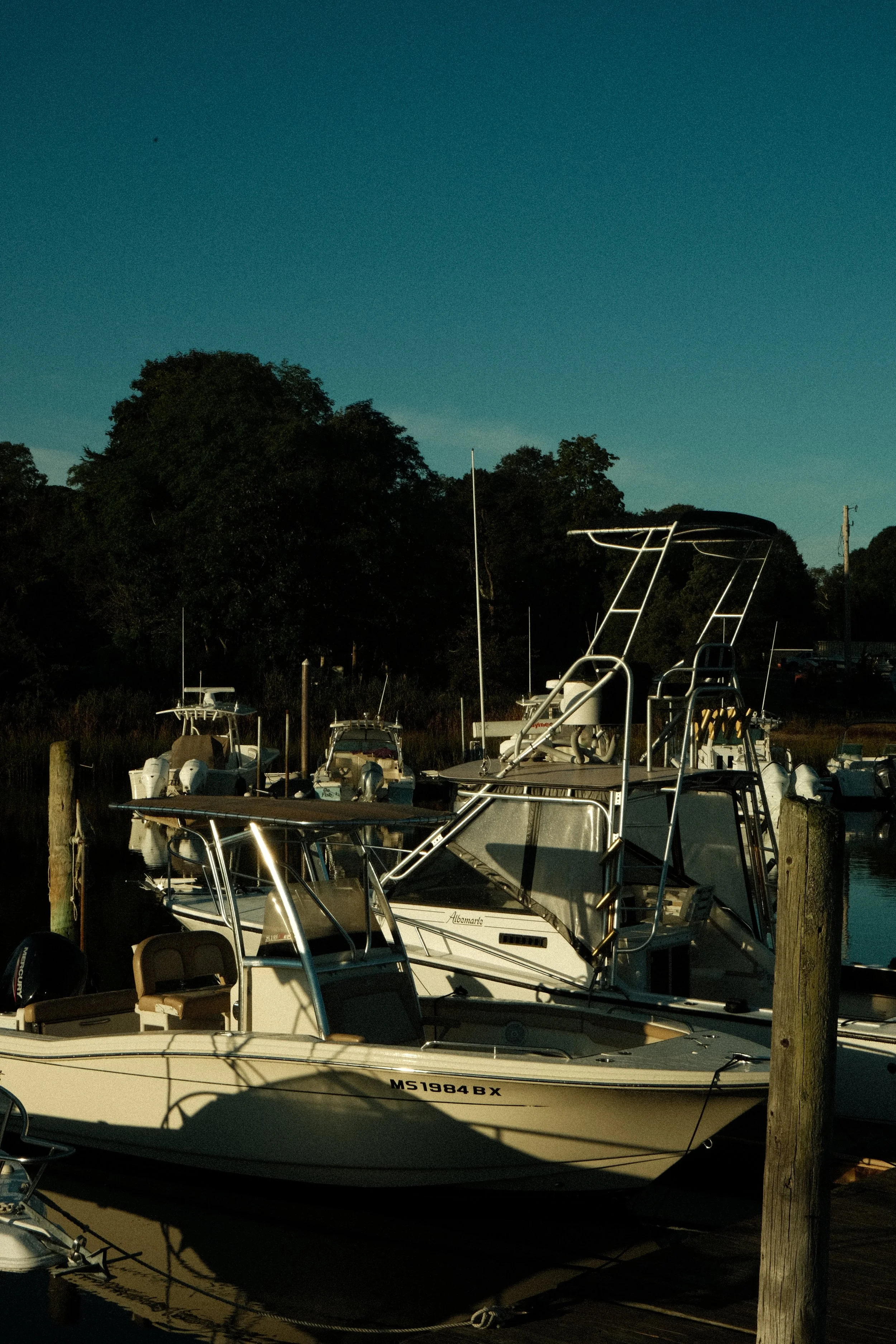 DSCF6936.jpg