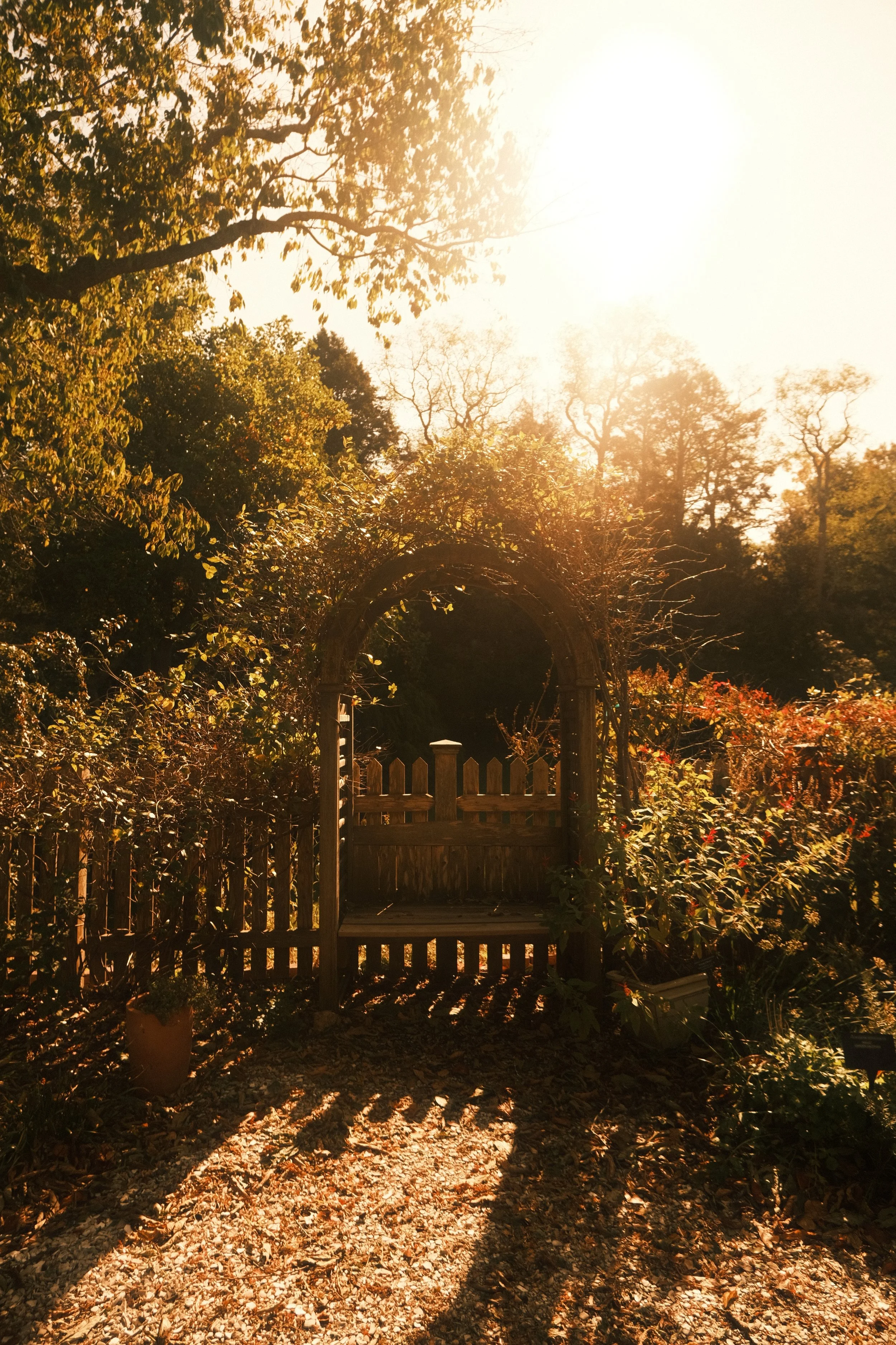 DSCF7311.jpg