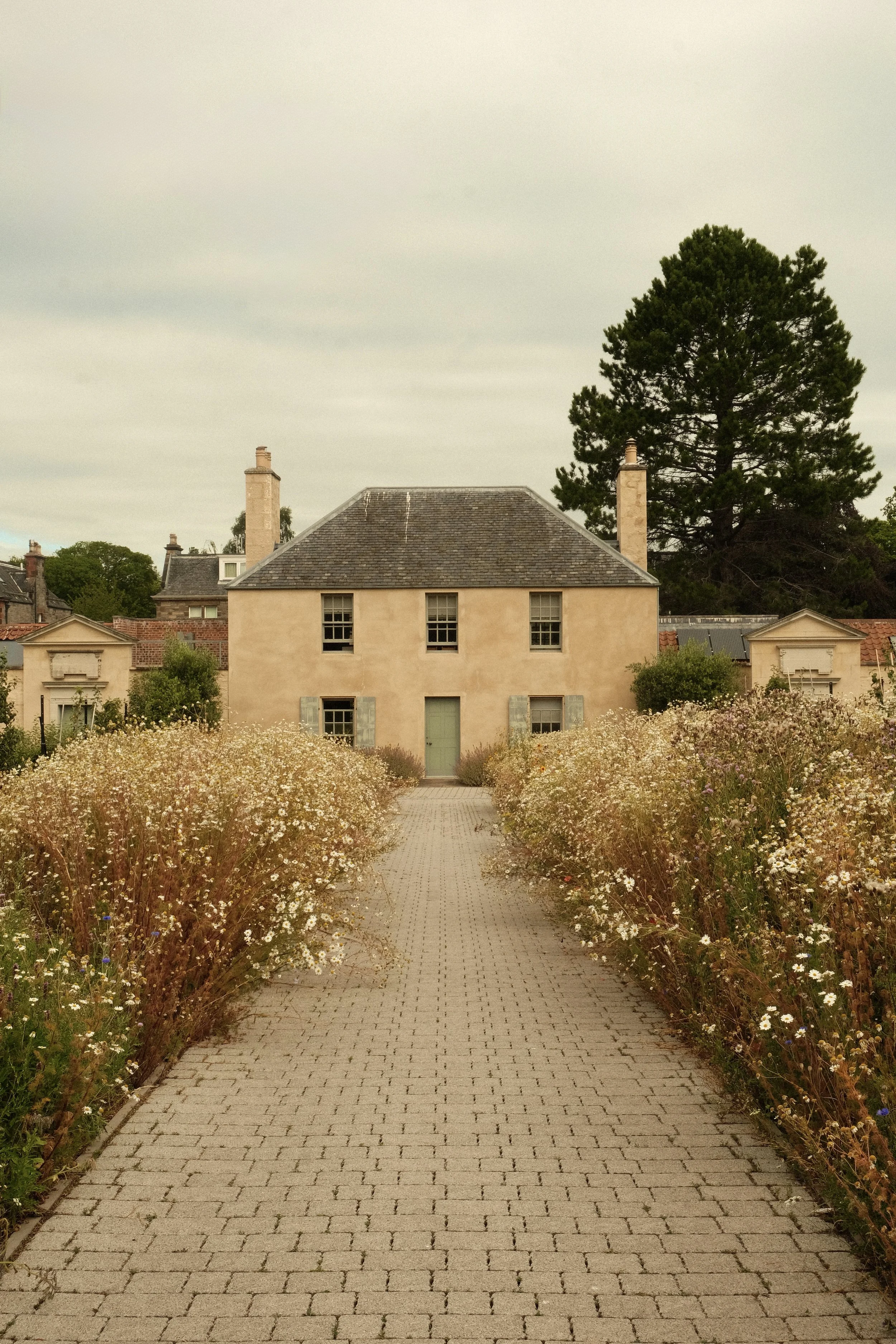 DSCF5830.jpg