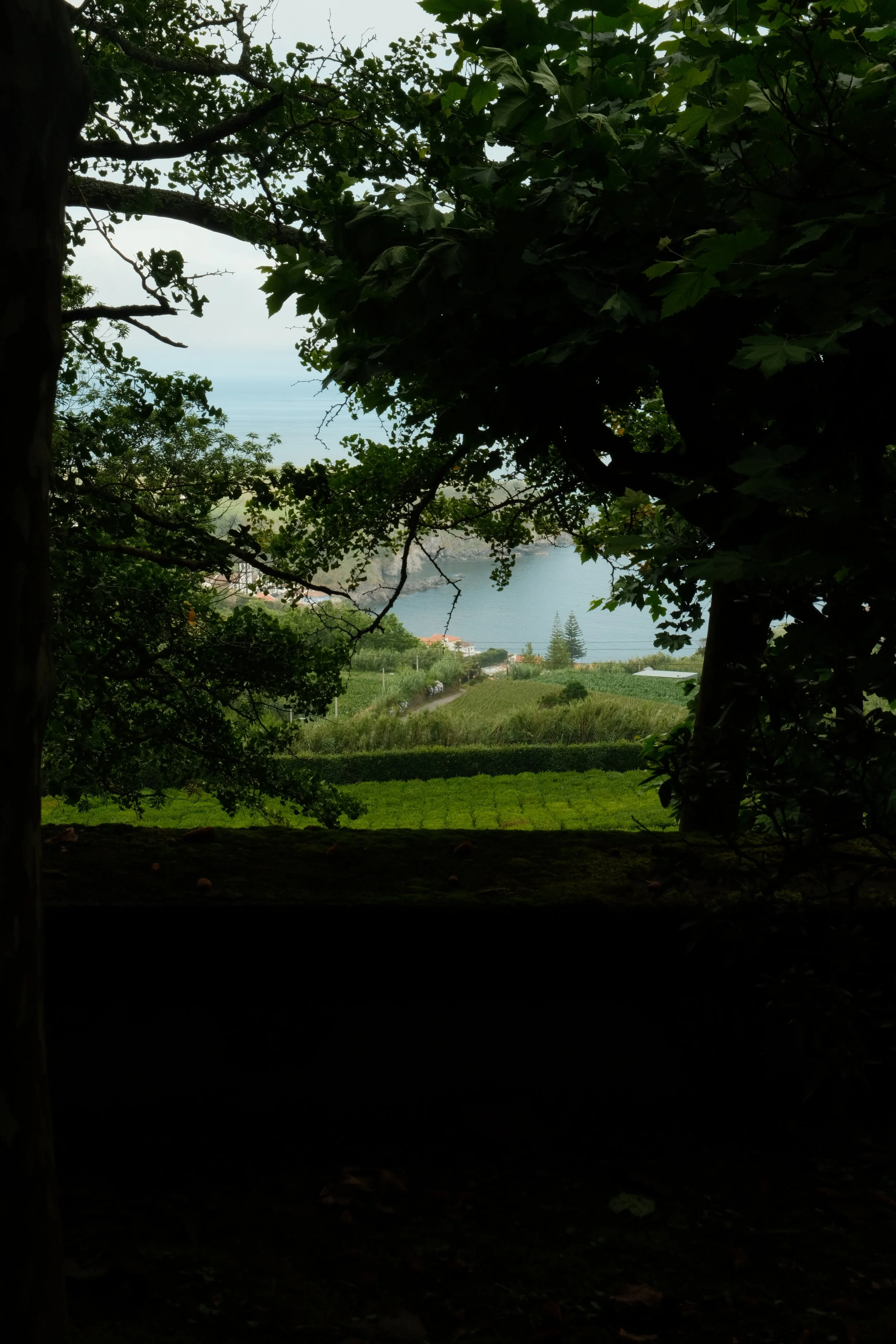 DSCF6852.JPG