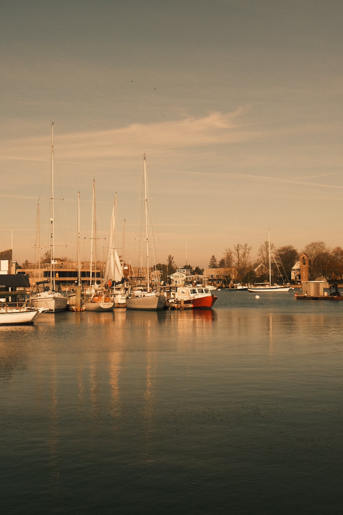 DSCF8195.jpg