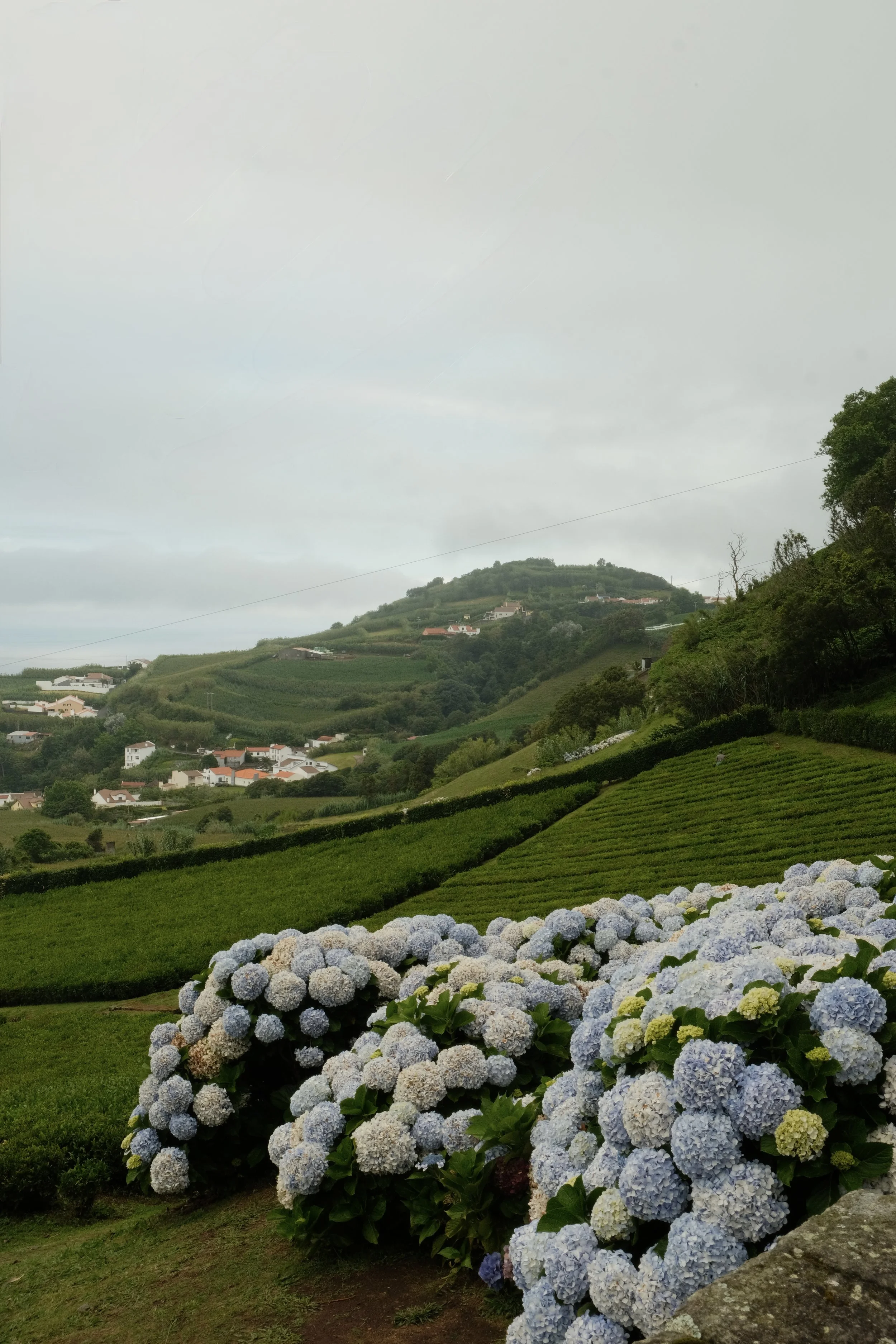DSCF6860.jpg