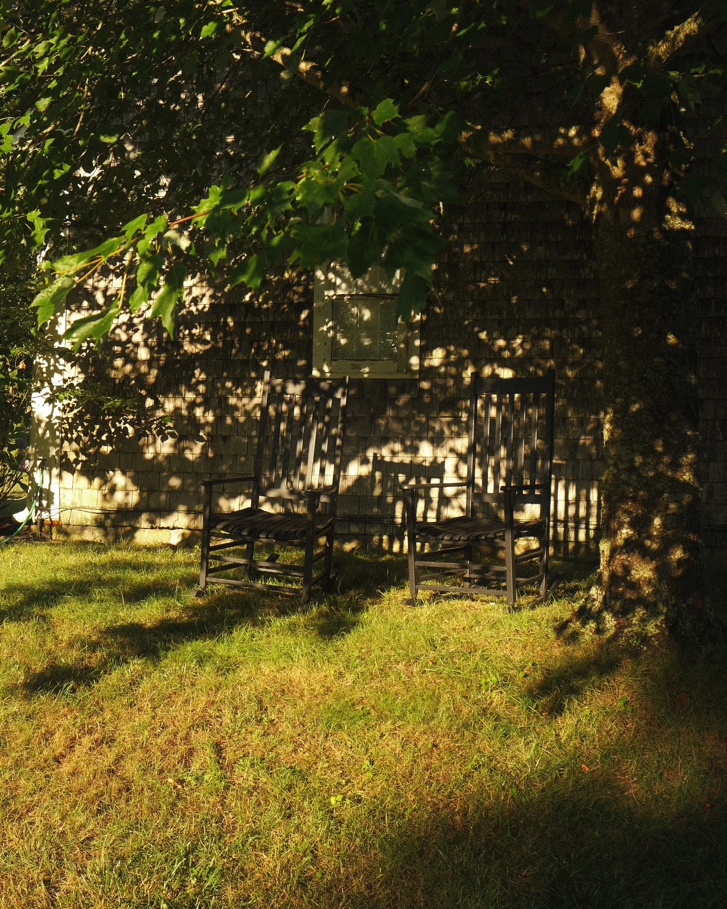 0FAA0193-3396-45FA-A73D-EBECC36D3552.jpg