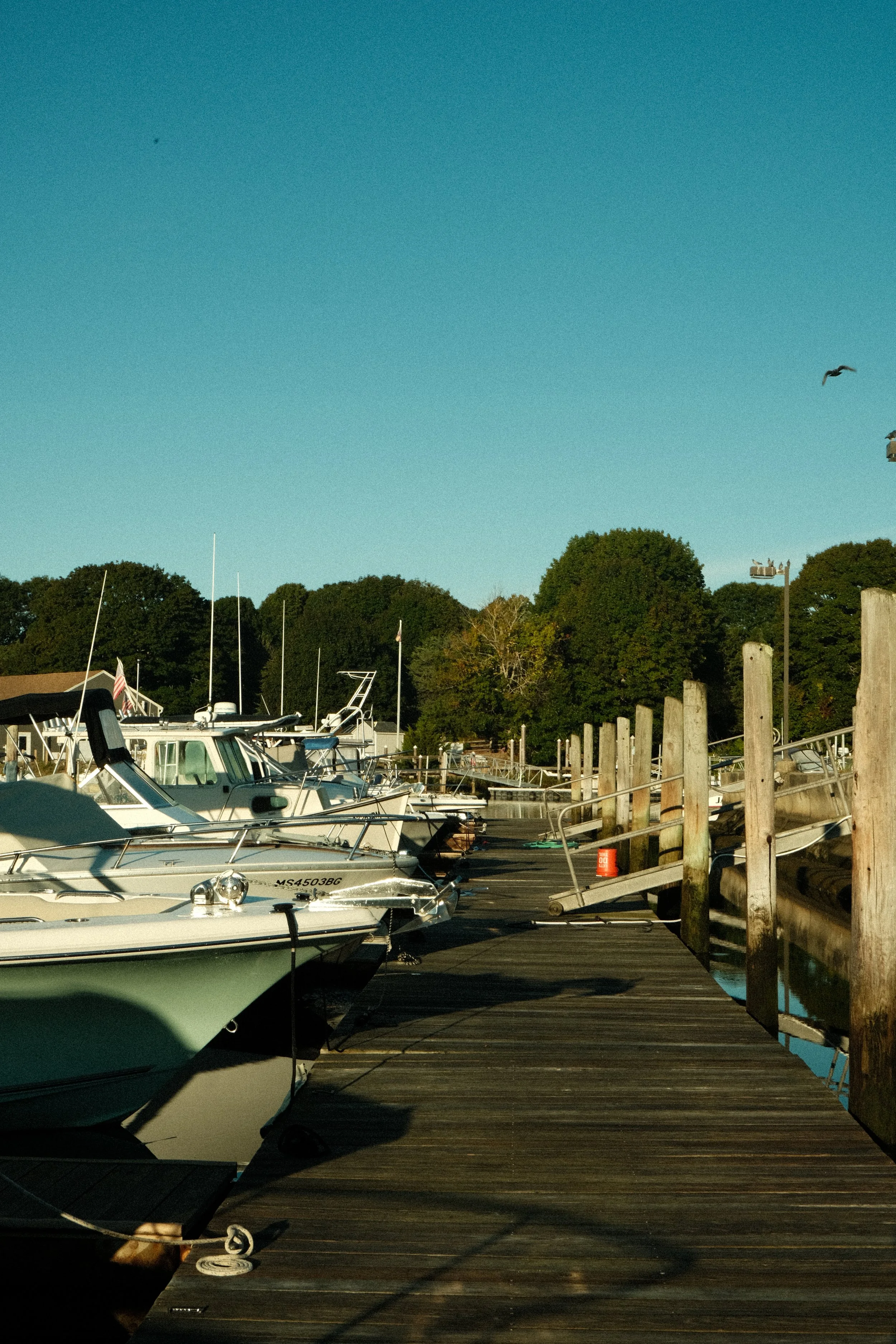 DSCF6917.jpg