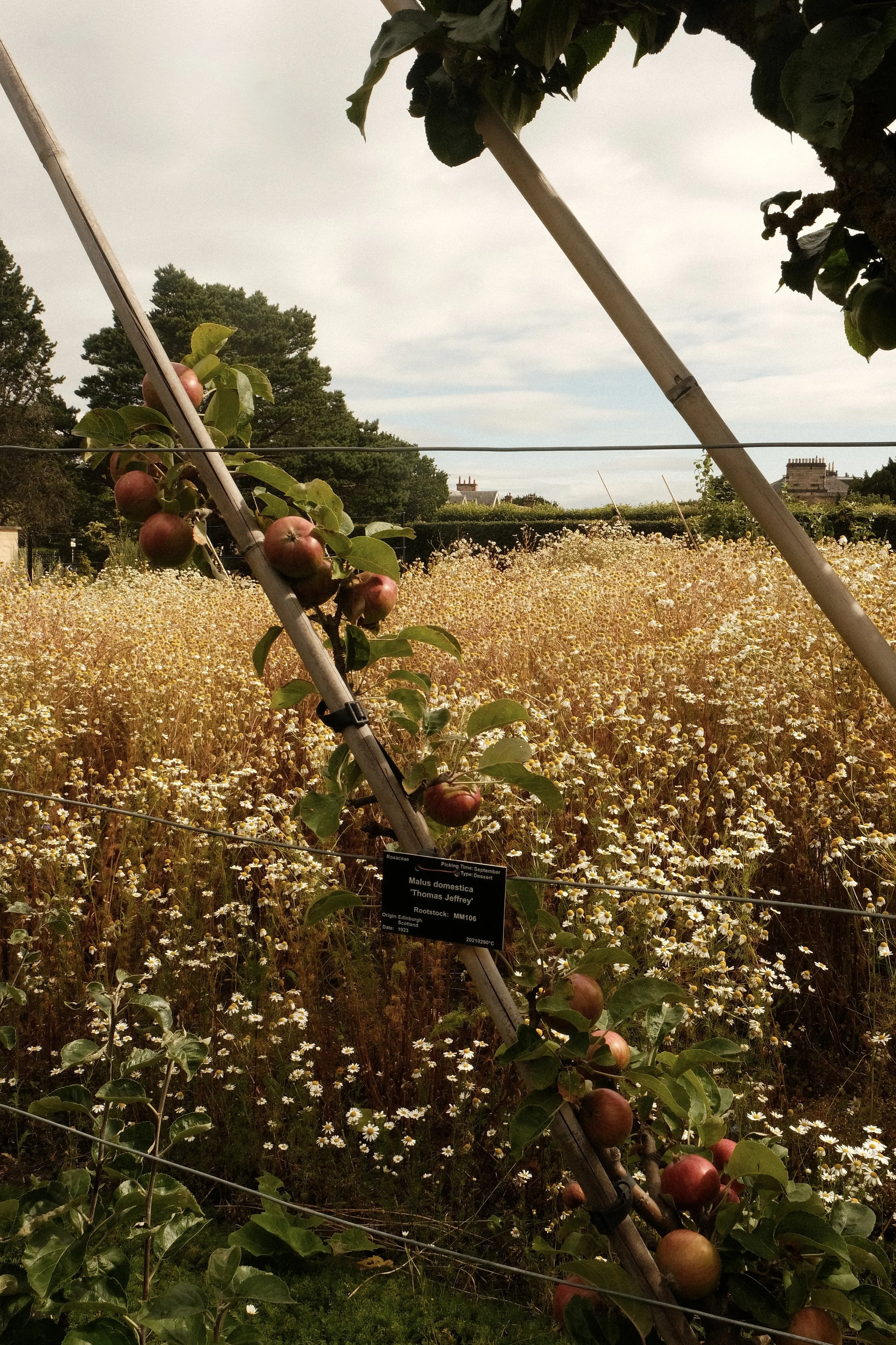 DSCF5853.JPG