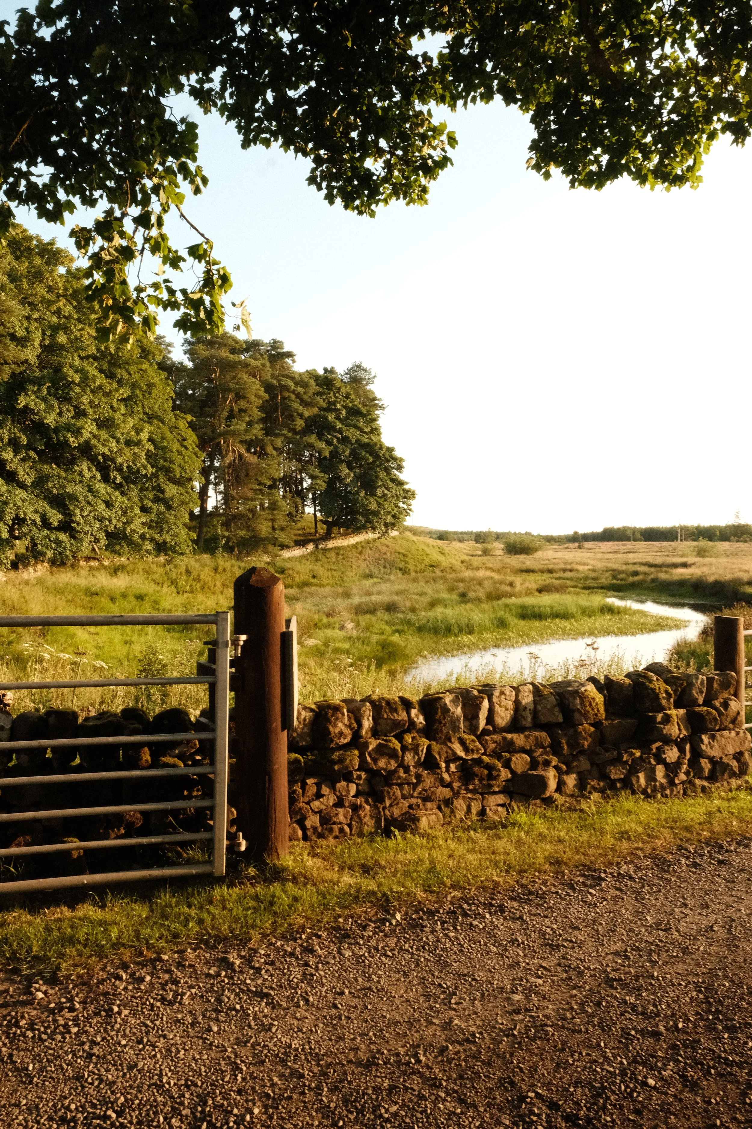 DSCF5119.JPG
