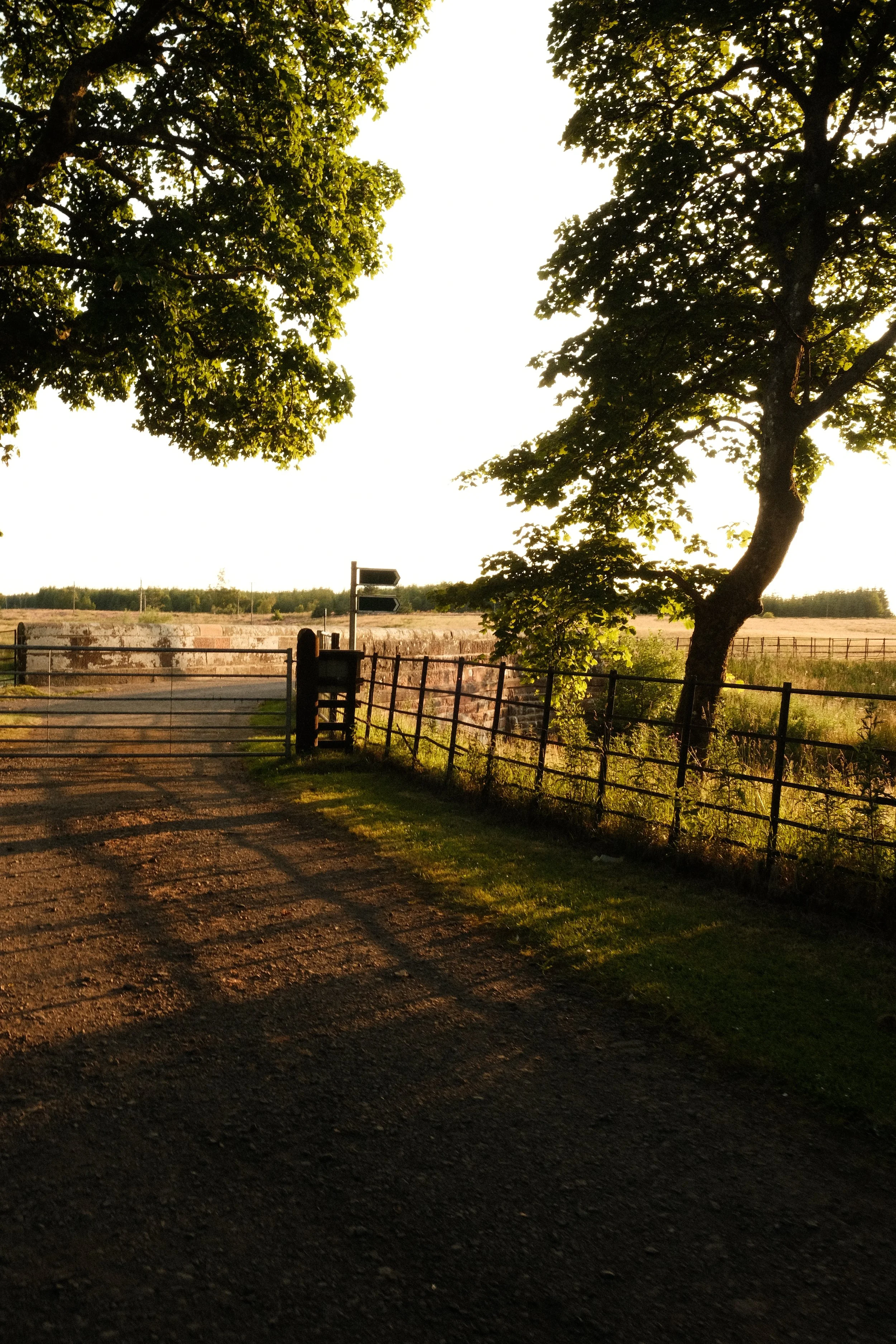 DSCF5117.JPG