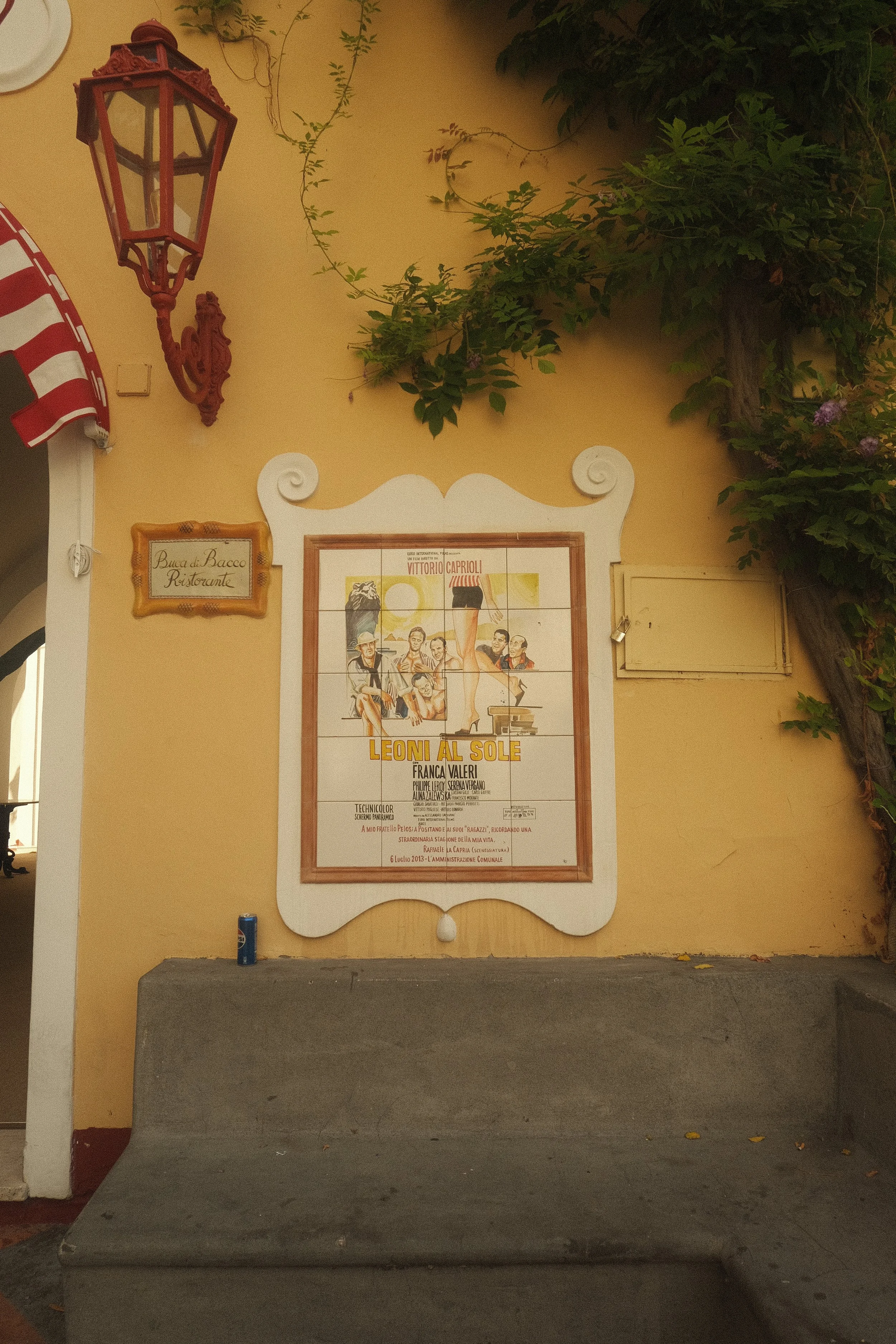 DSCF6101.jpg