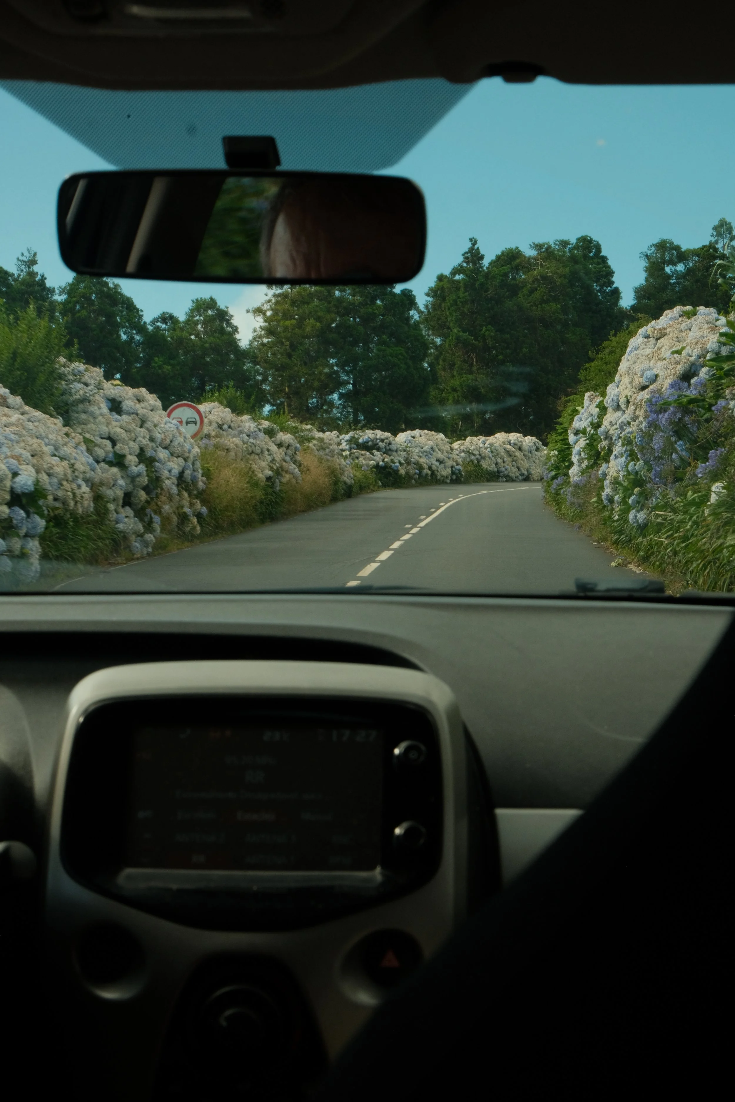 DSCF6331.JPG