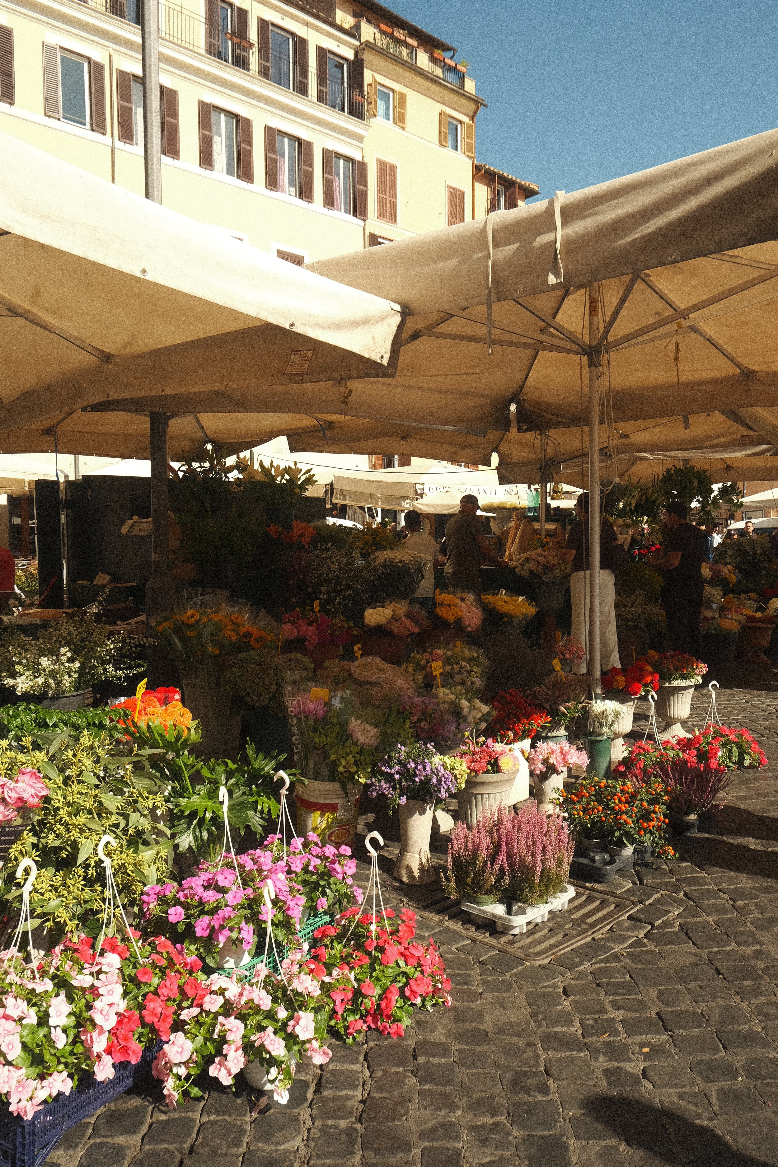 DSCF5700.jpg