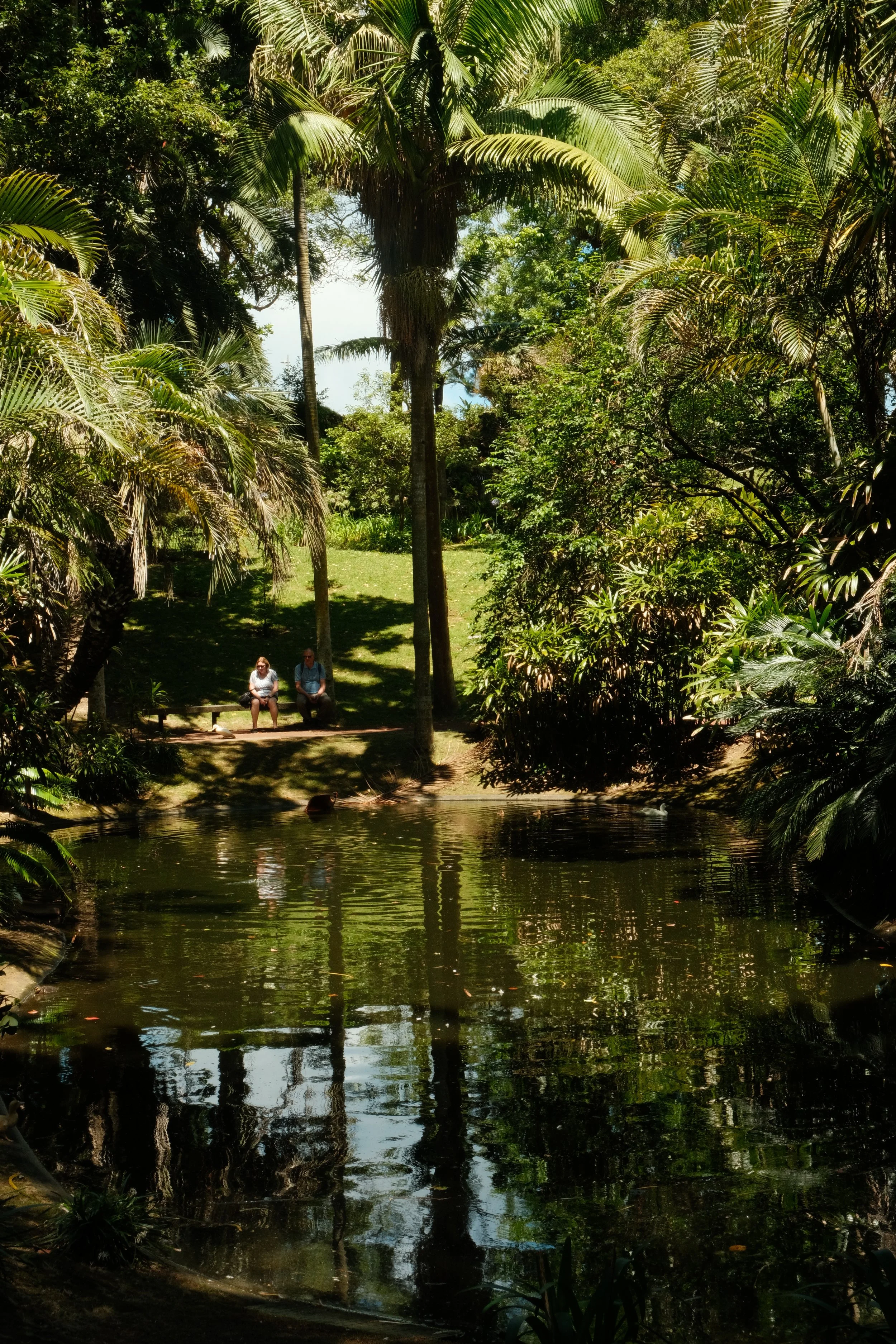 DSCF6173.JPG