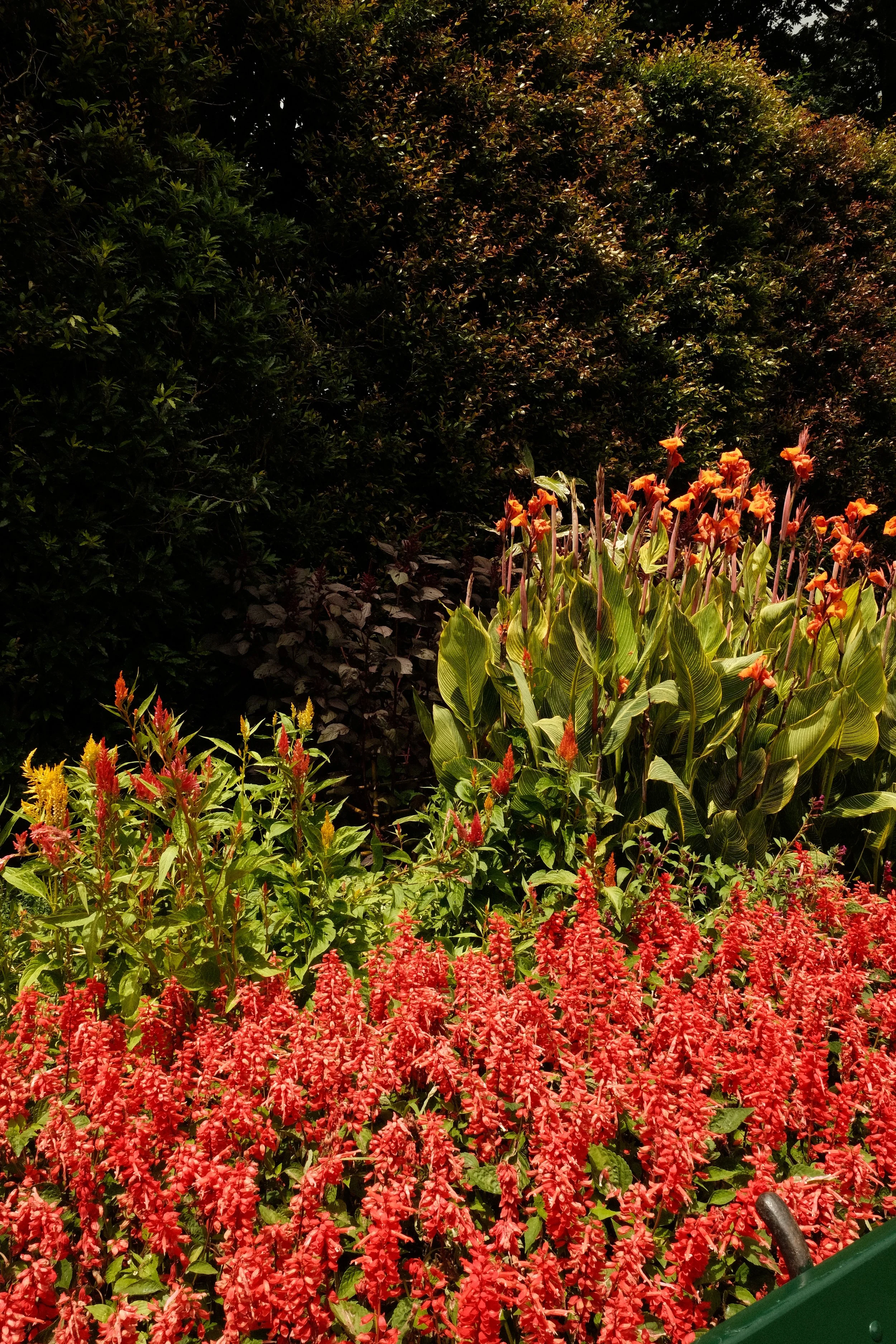 DSCF6981.JPG