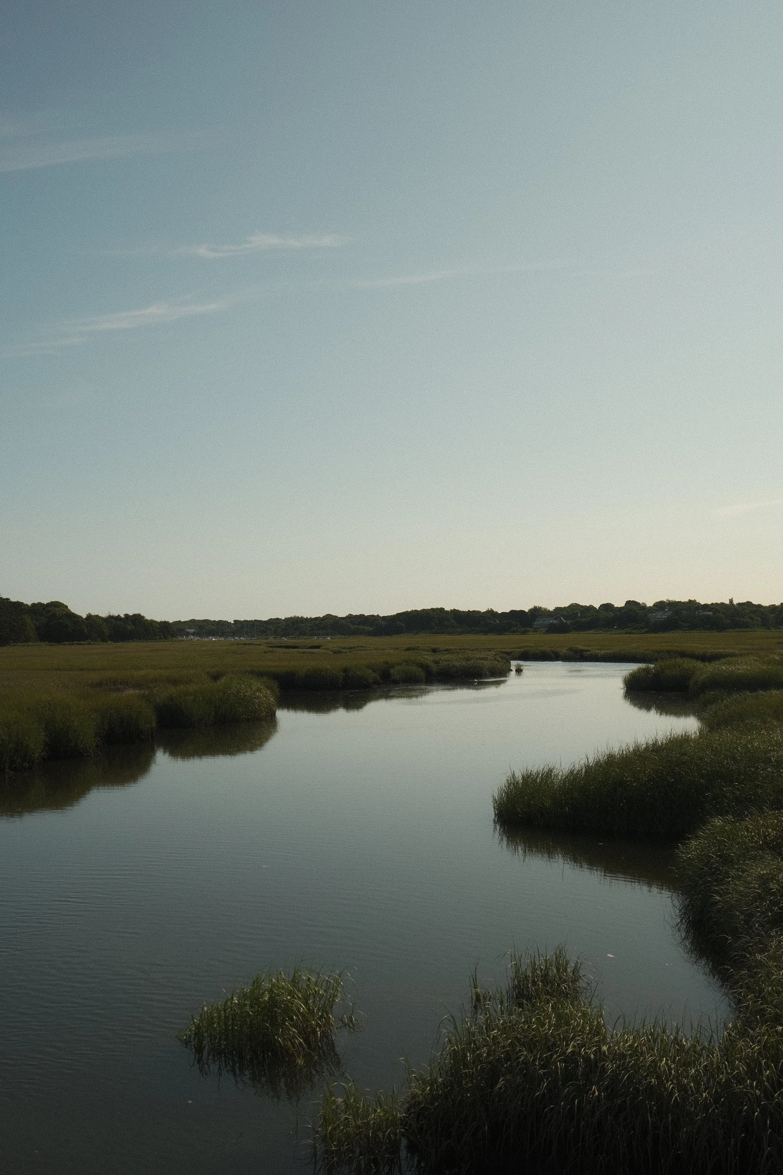 DSCF4829.jpg