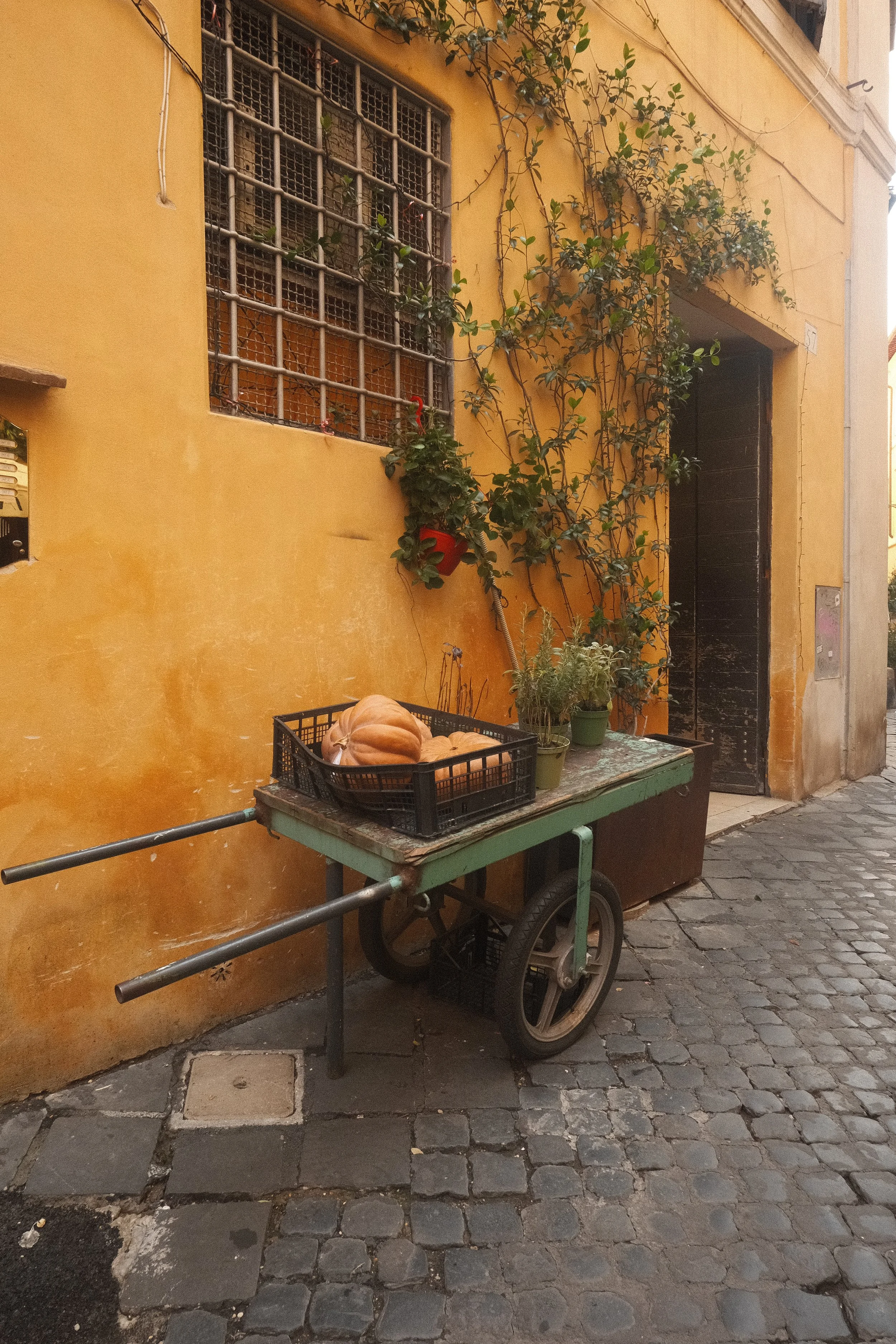DSCF5494.jpg