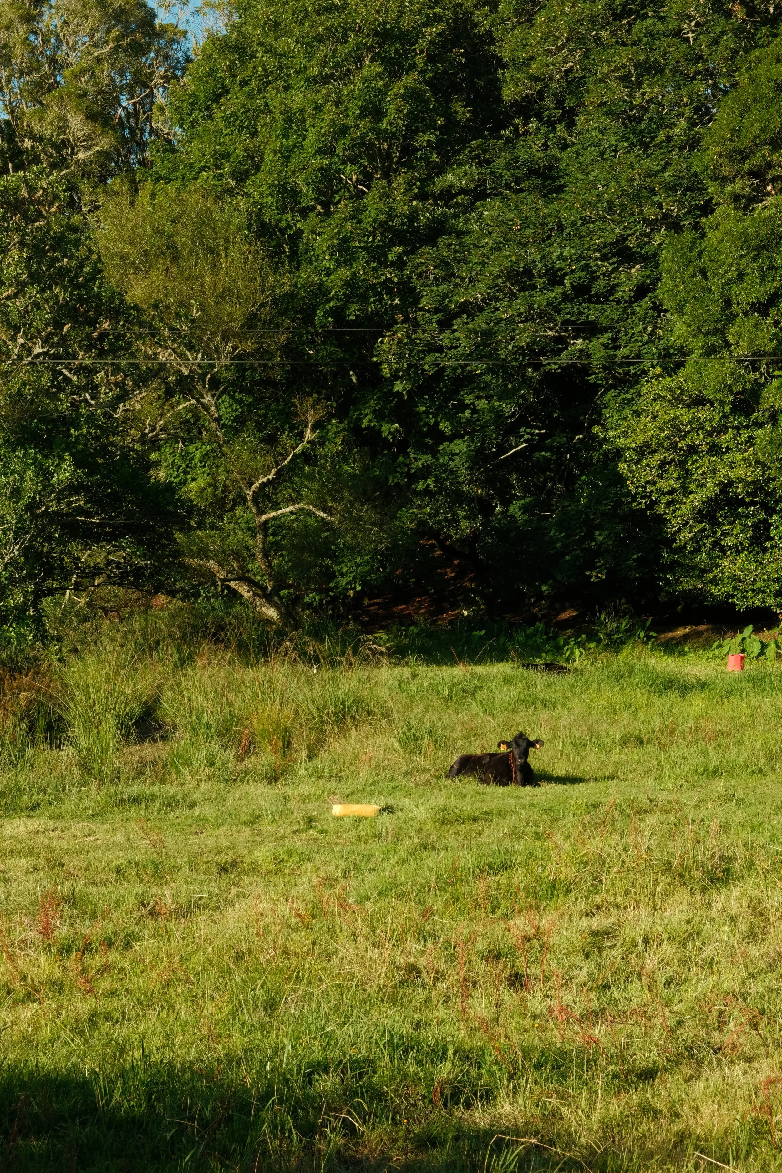 DSCF6672.JPG