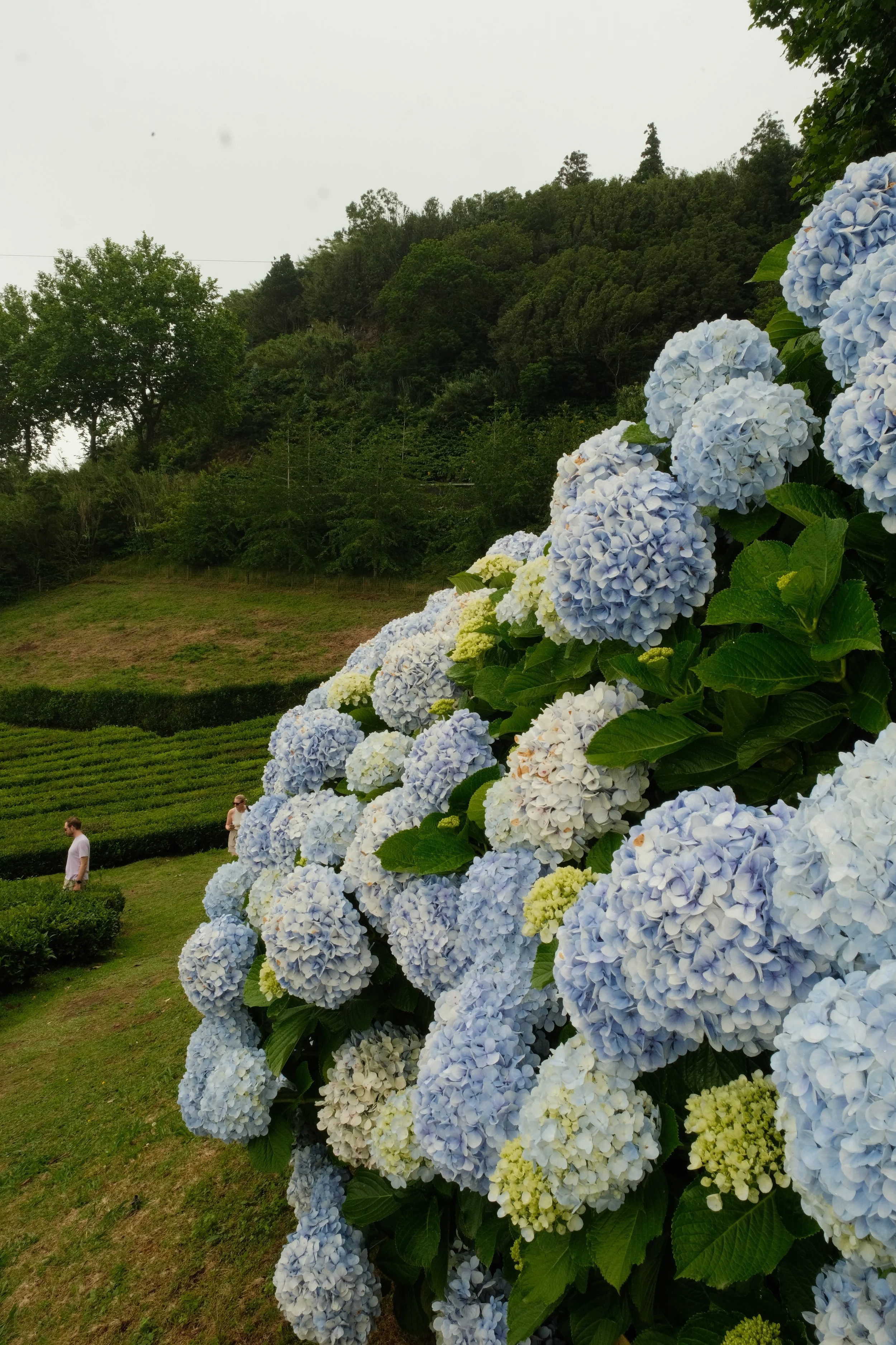DSCF6906.JPG