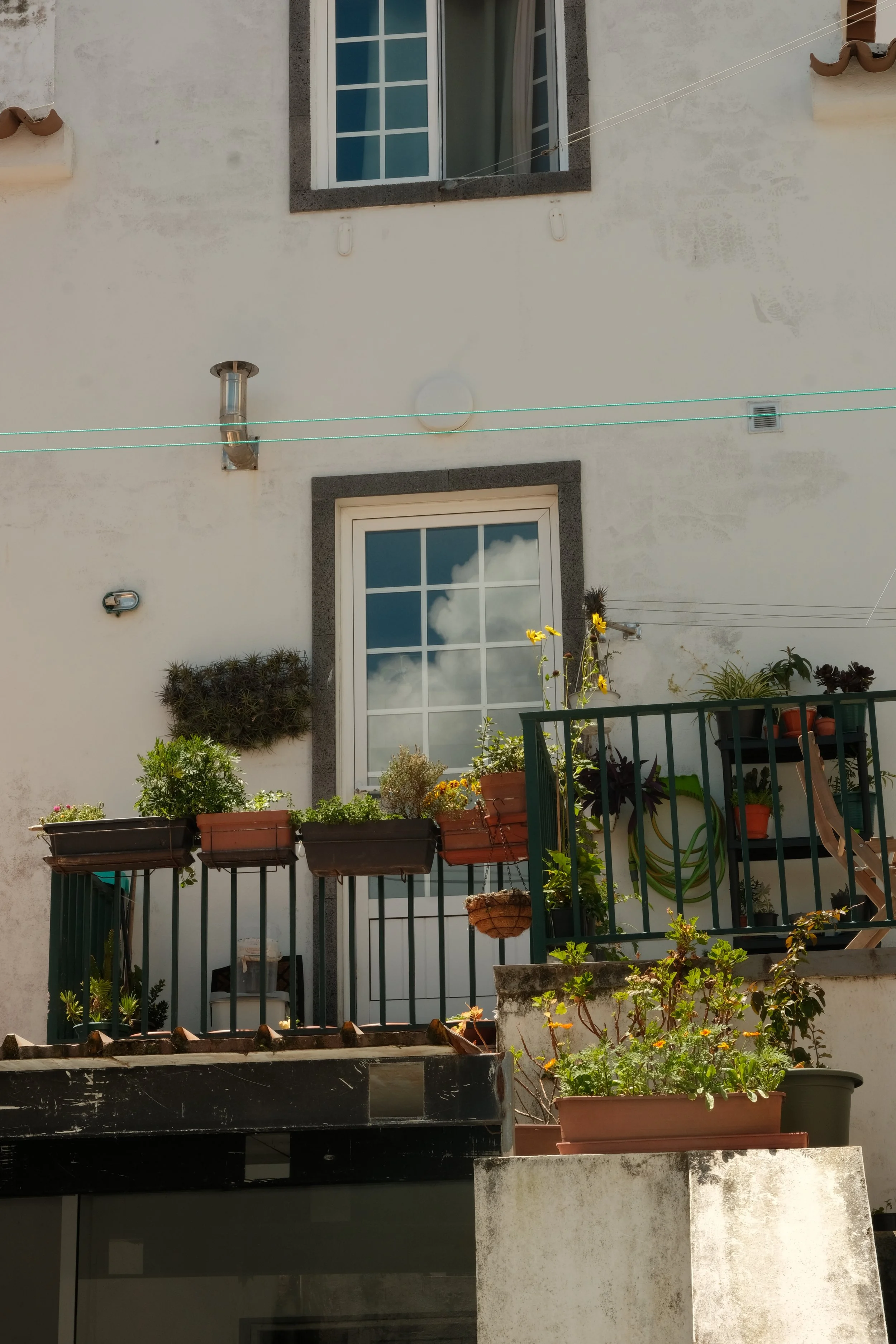 DSCF6289.JPG