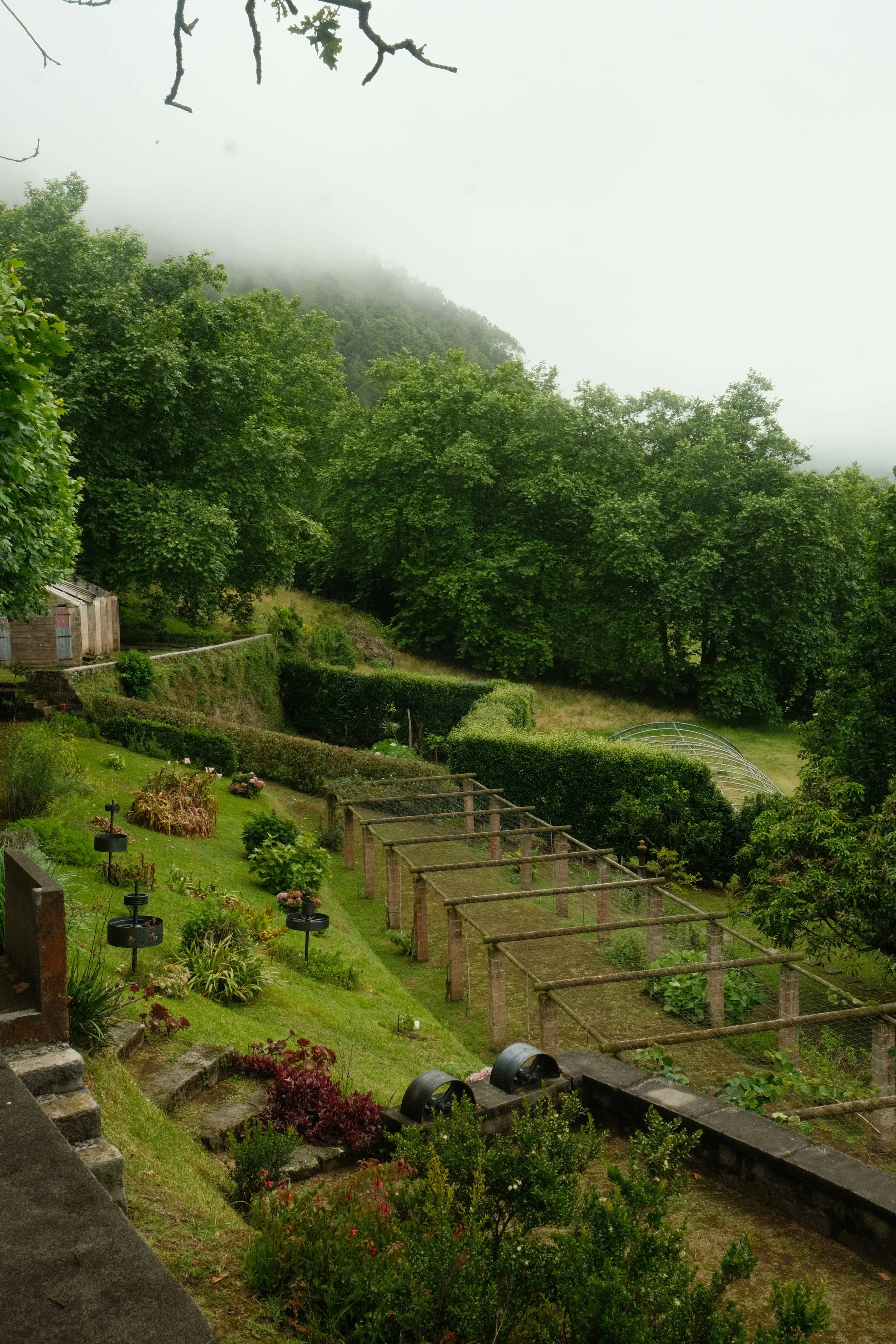 DSCF6834.JPG