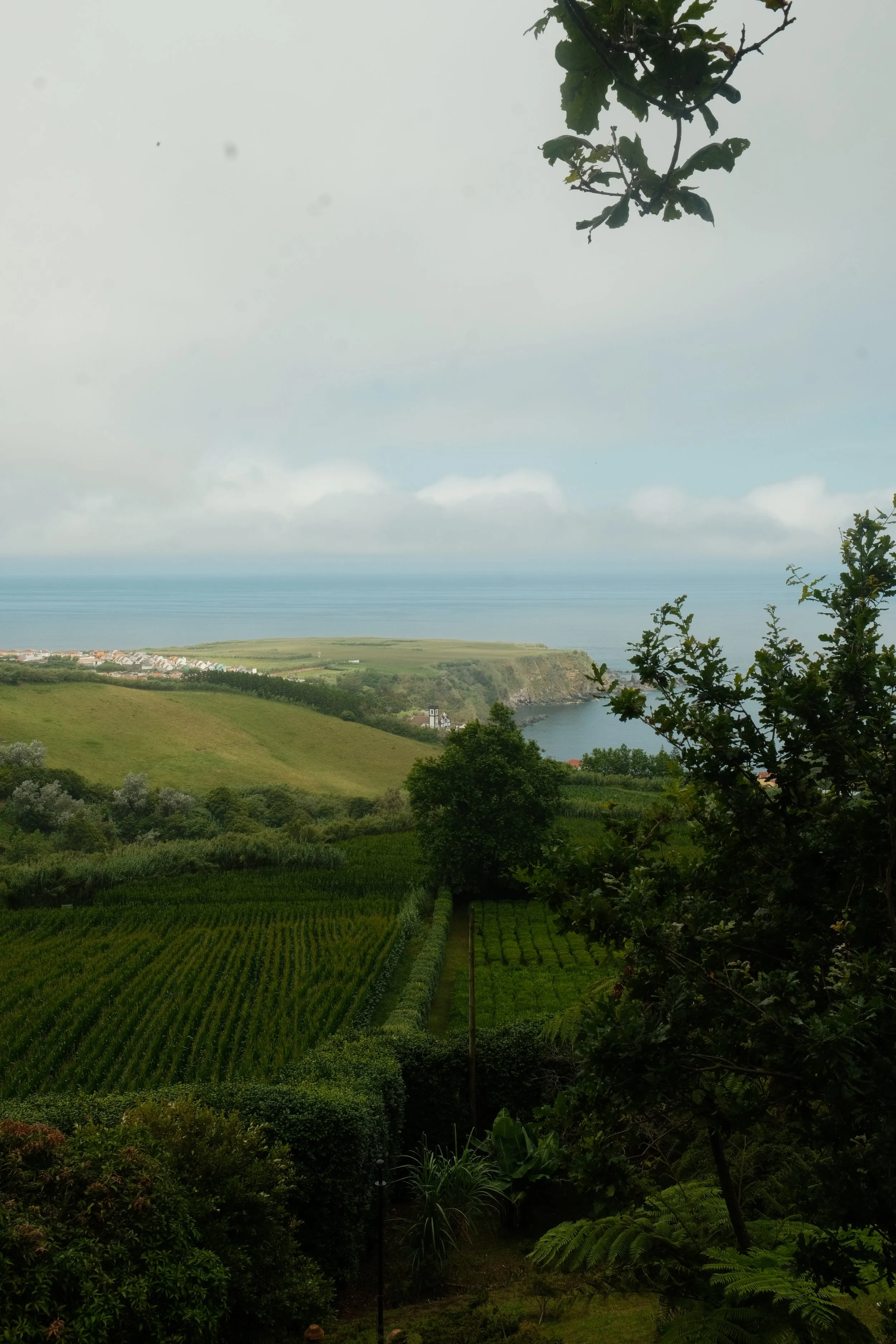 DSCF6833.JPG