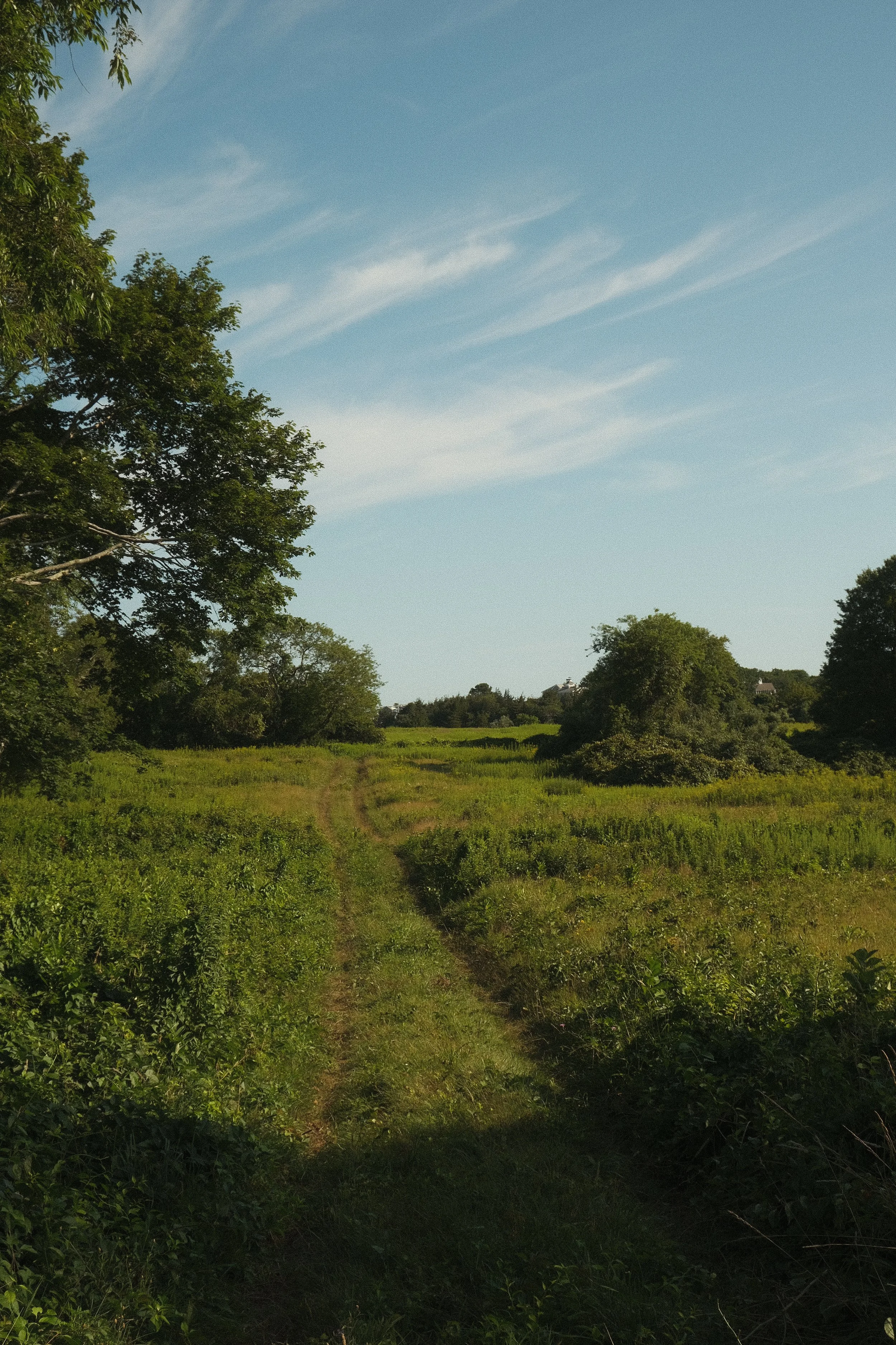DSCF4820.jpg