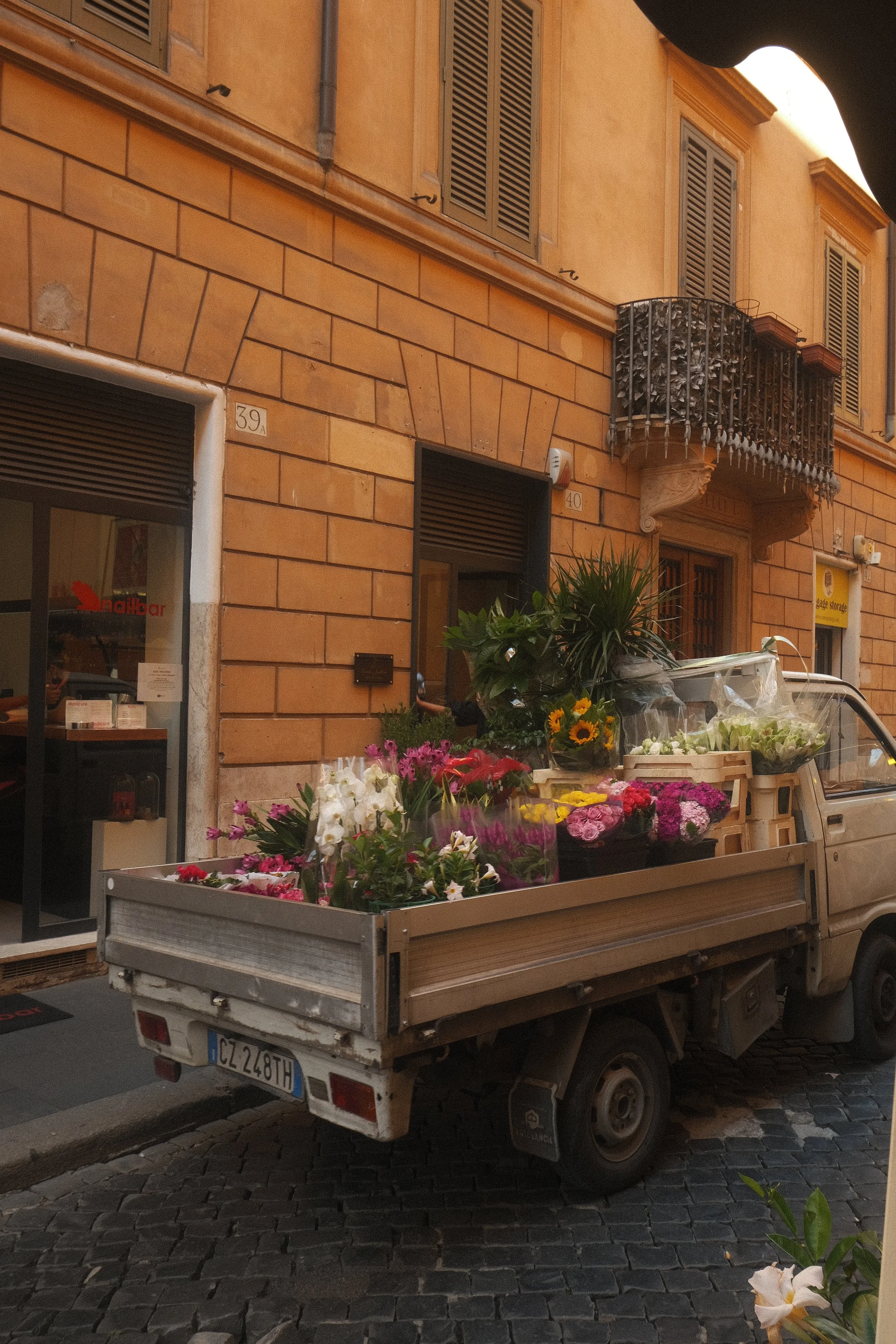 DSCF5513.jpg