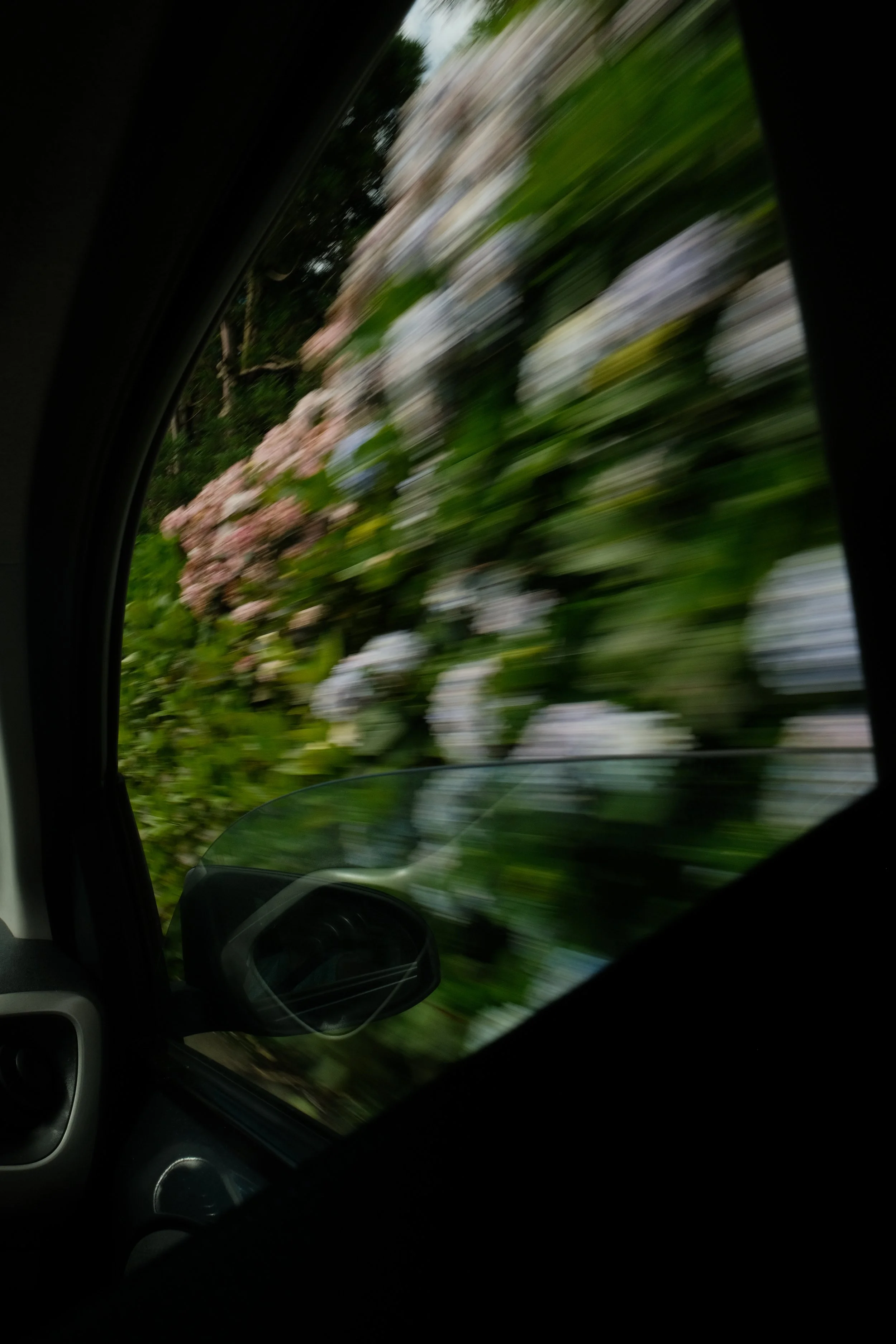 DSCF6338.JPG