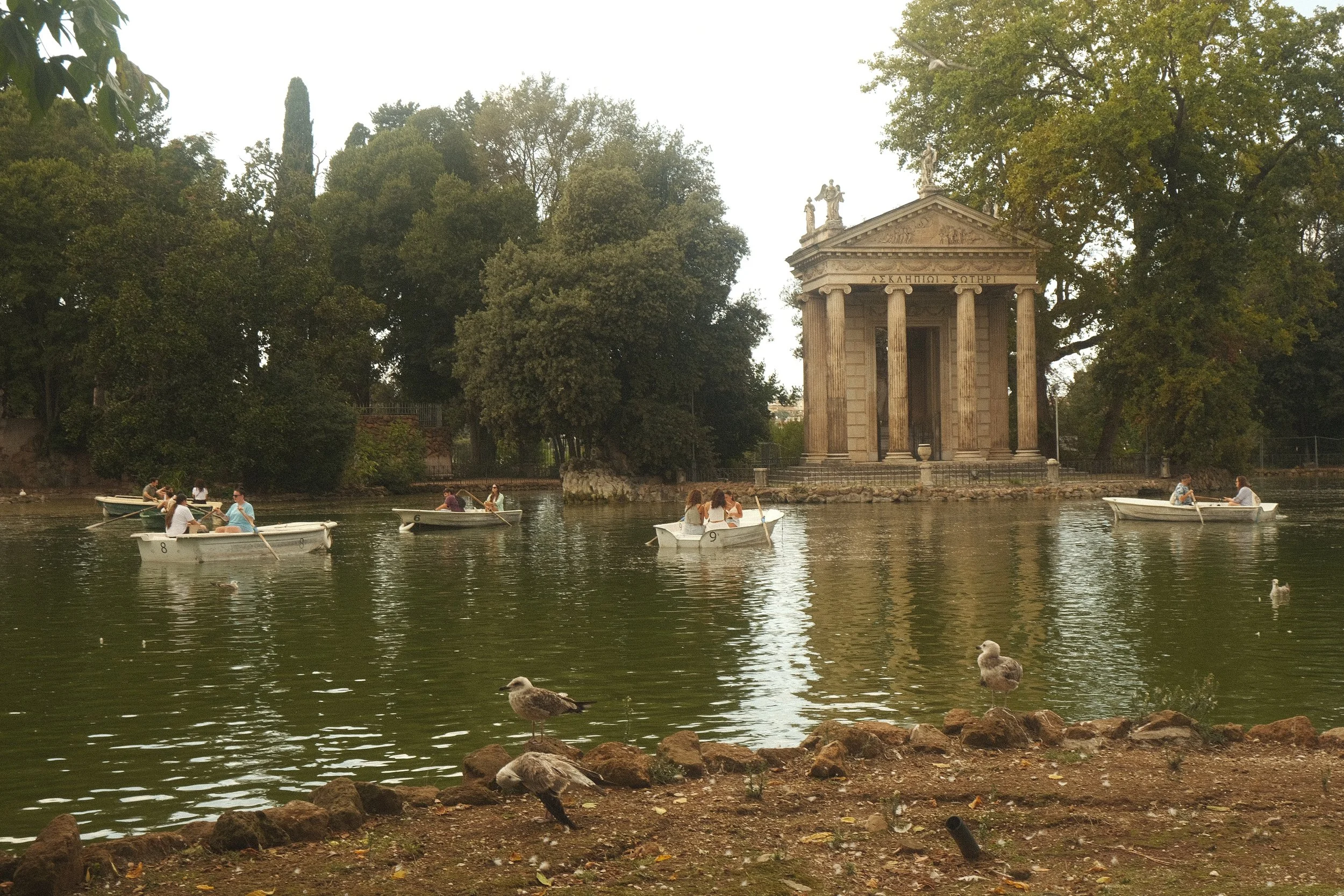 DSCF5632.jpg