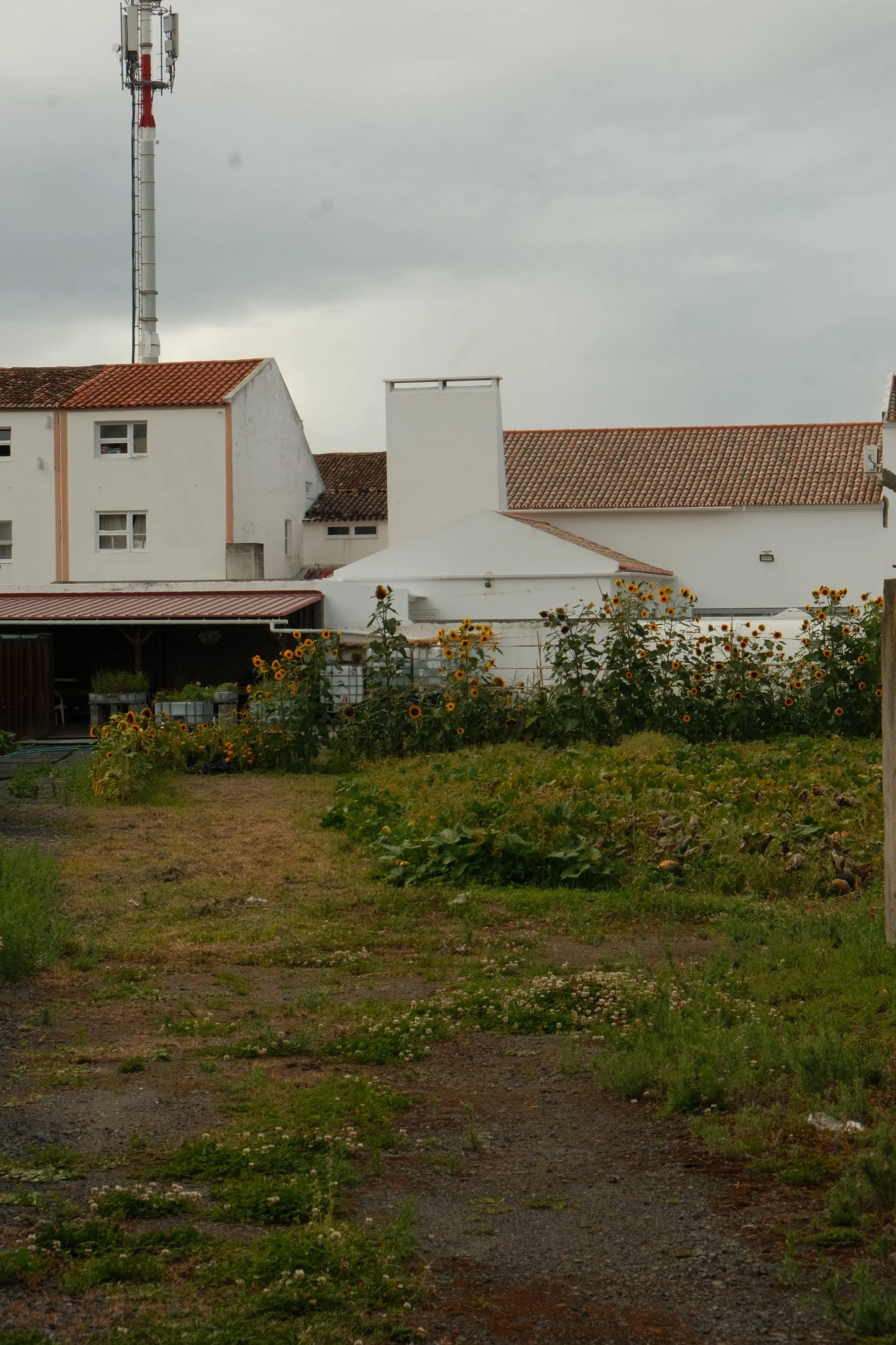 DSCF6143.JPG