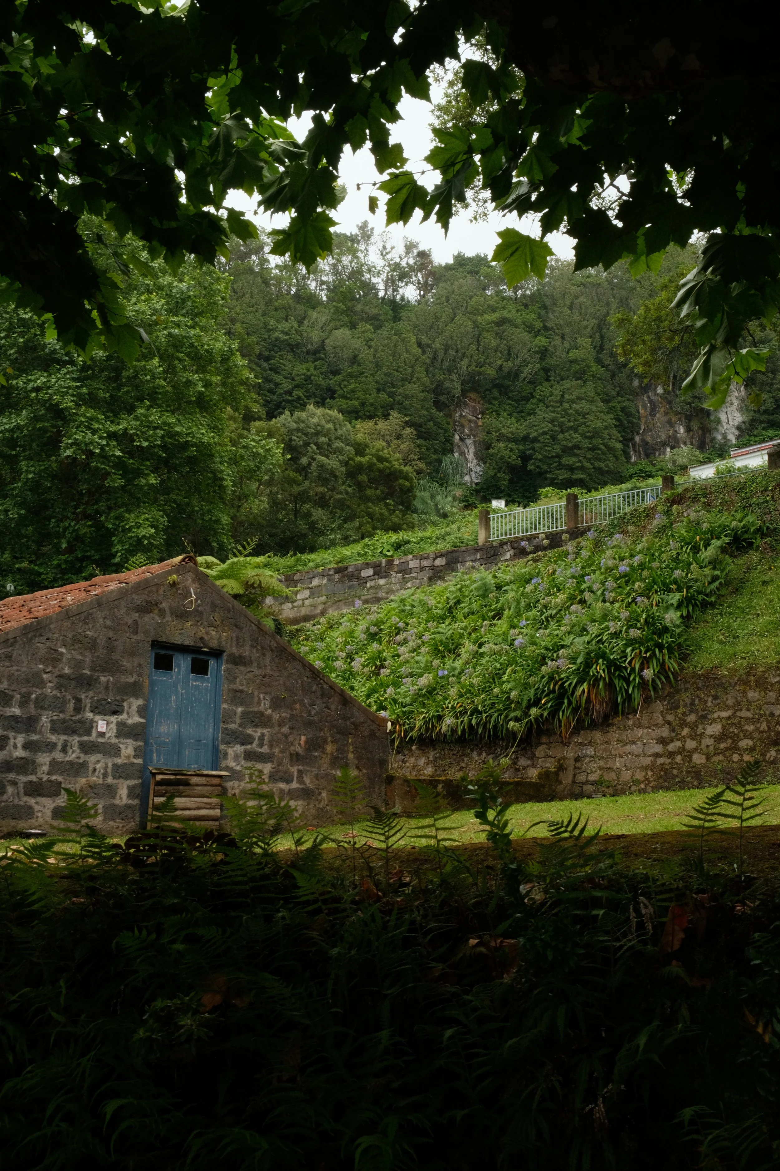 DSCF6855.JPG