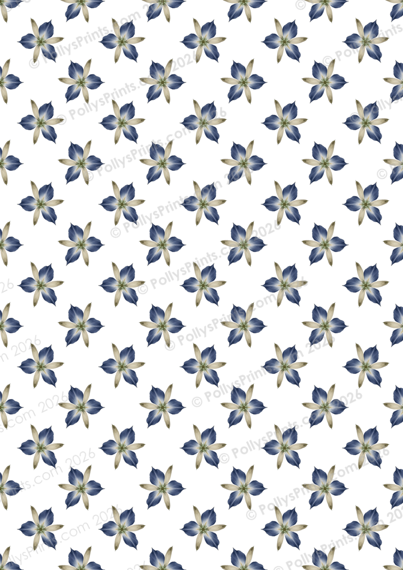 B P - Il Voyage (19).PNG