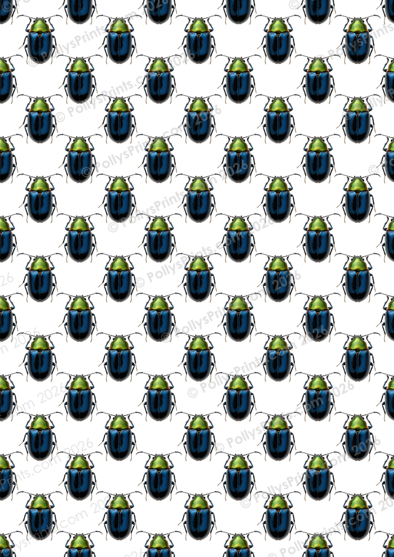 B P - Il Voyage (22).PNG