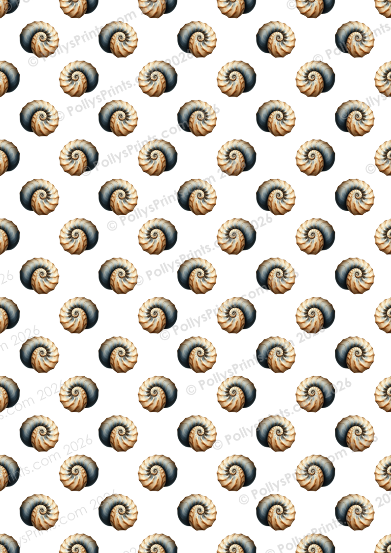 B P - Il Voyage (18).PNG