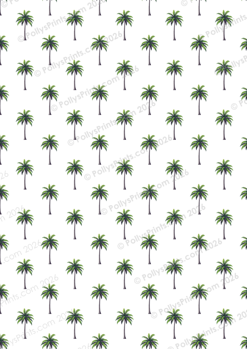 B P - Il Voyage (20).PNG