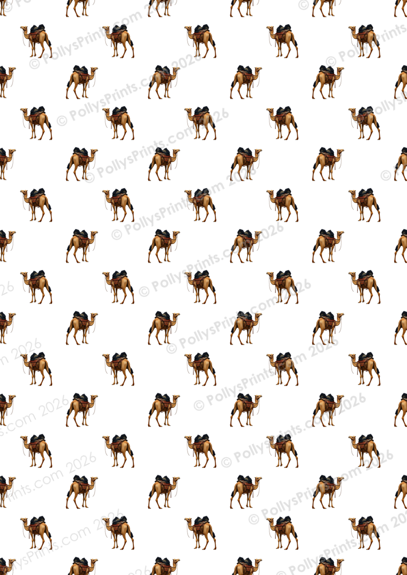 B P - Il Voyage (25).PNG