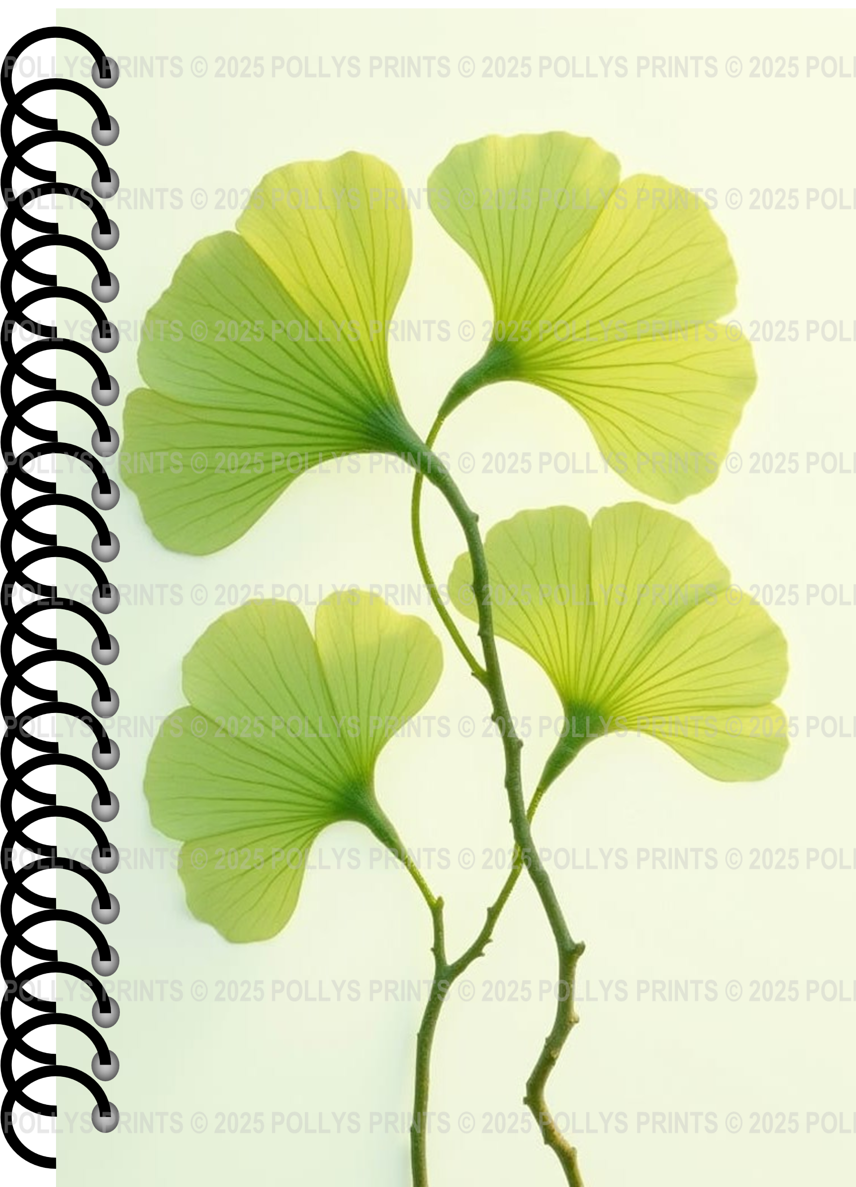 Ginkgo Biloba