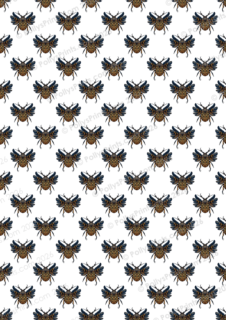 B P - Il Voyage (23).PNG