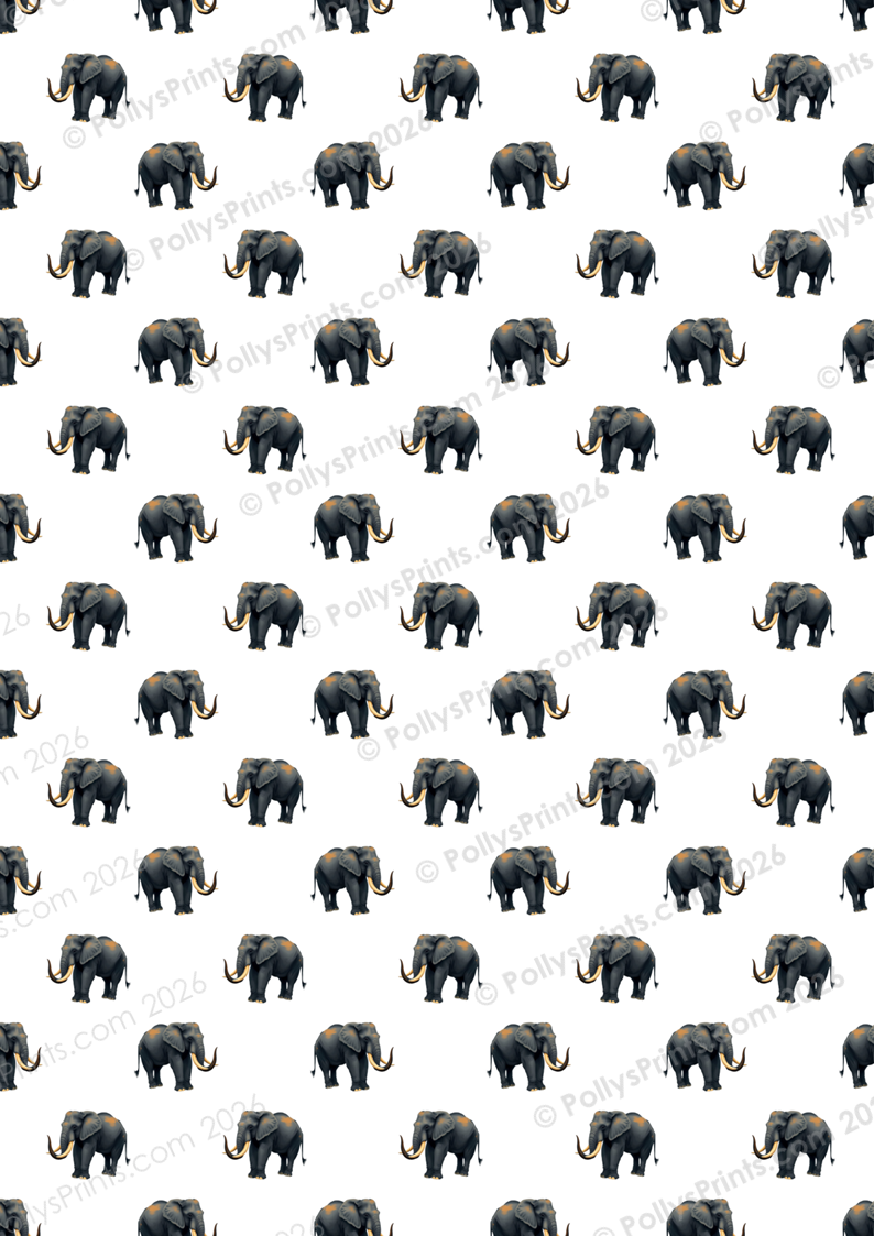 B P - Il Voyage (26).PNG