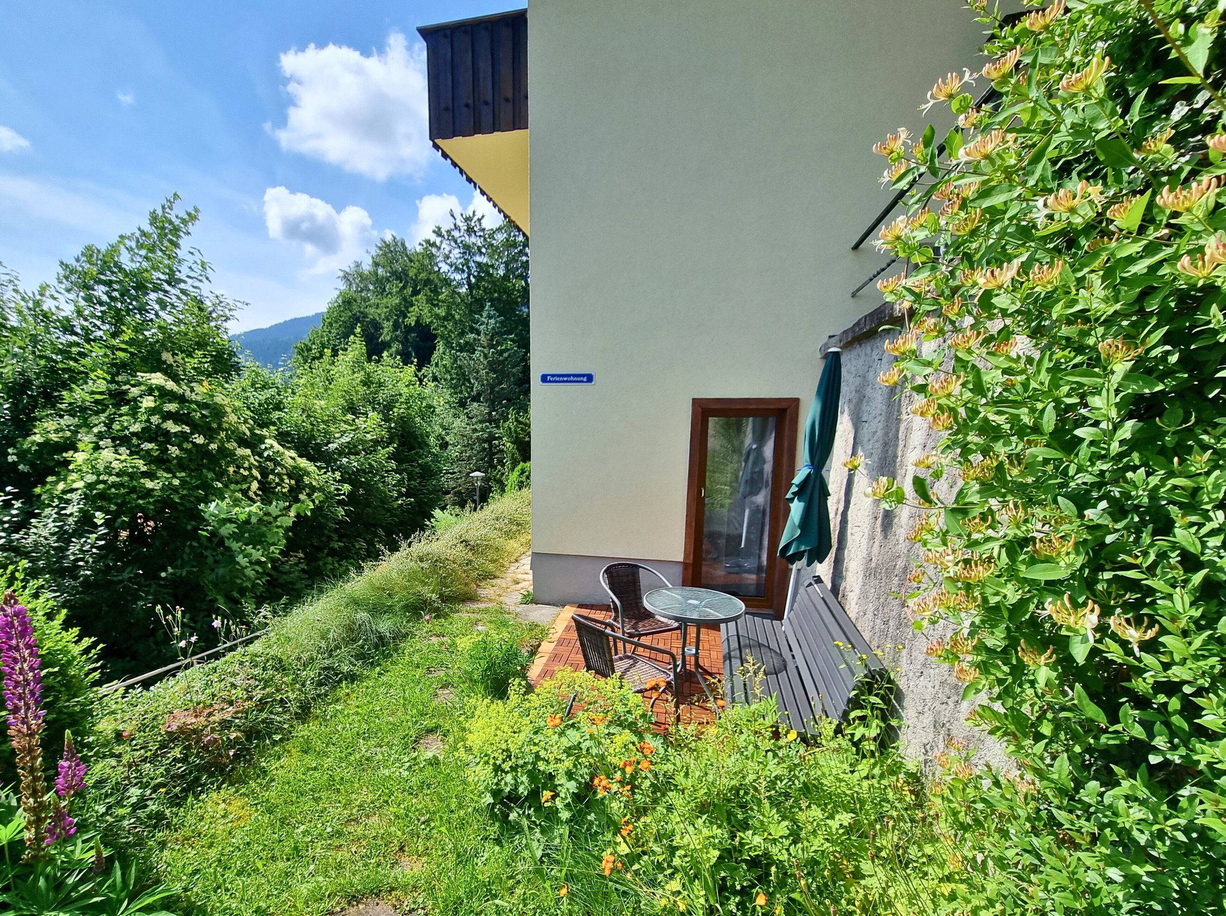 20250617_103341 - bearbeitet.jpg