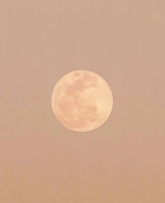 De nieuwe maan op 6 november 2024 is de tweede nieuwe maan in de maand november. 

Deze nieuwe maan valt in het teken Schorpioen, wat vaak wordt geassocieerd met transformatie, diepte en het loslaten van wat niet meer dient en daarom het perfecte mom