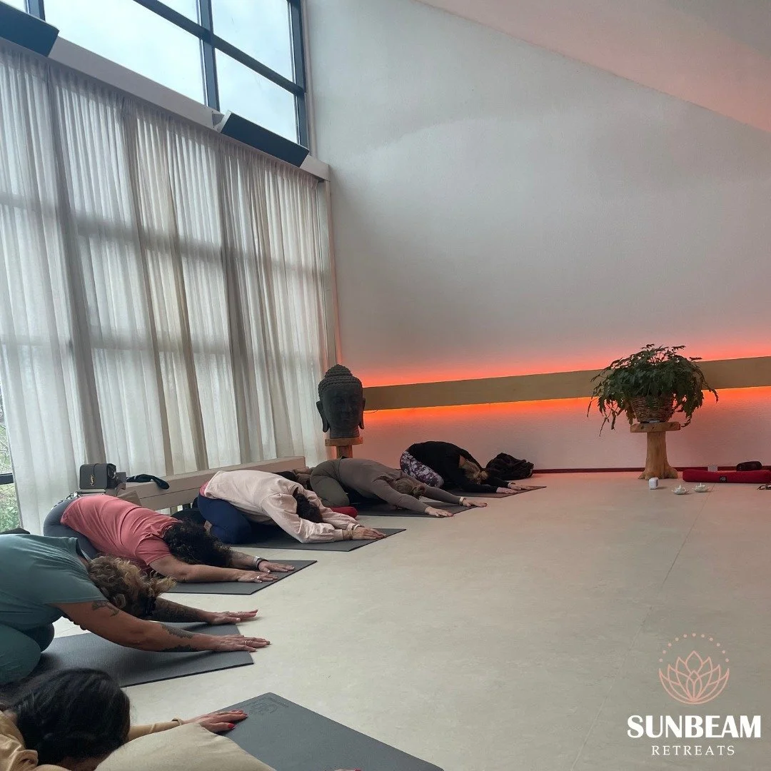 De bekende child pose! 🌿

In deze houding komen we weer terug naar onszelf. Het is een prachtige manier om te ontspannen, de geest tot rust te brengen en de verbinding met ons lichaam te herstellen. 🤍

Tijdens onze retreats cre&euml;ren we een veil