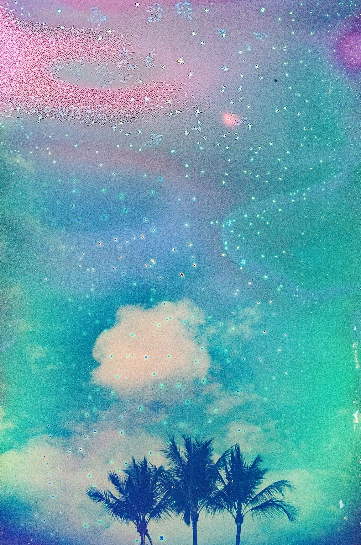 tropicaldream_16x24.jpg