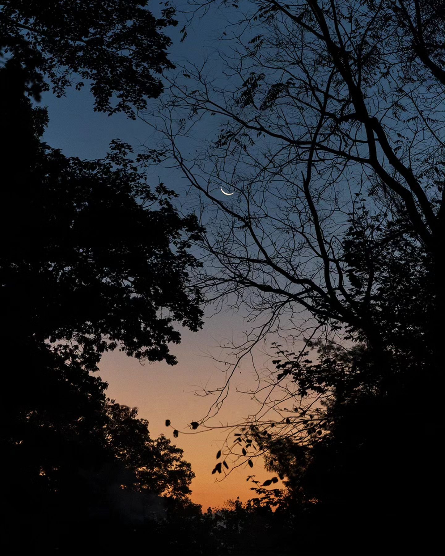 This crescent moon sunrise this morning really made my day 😍