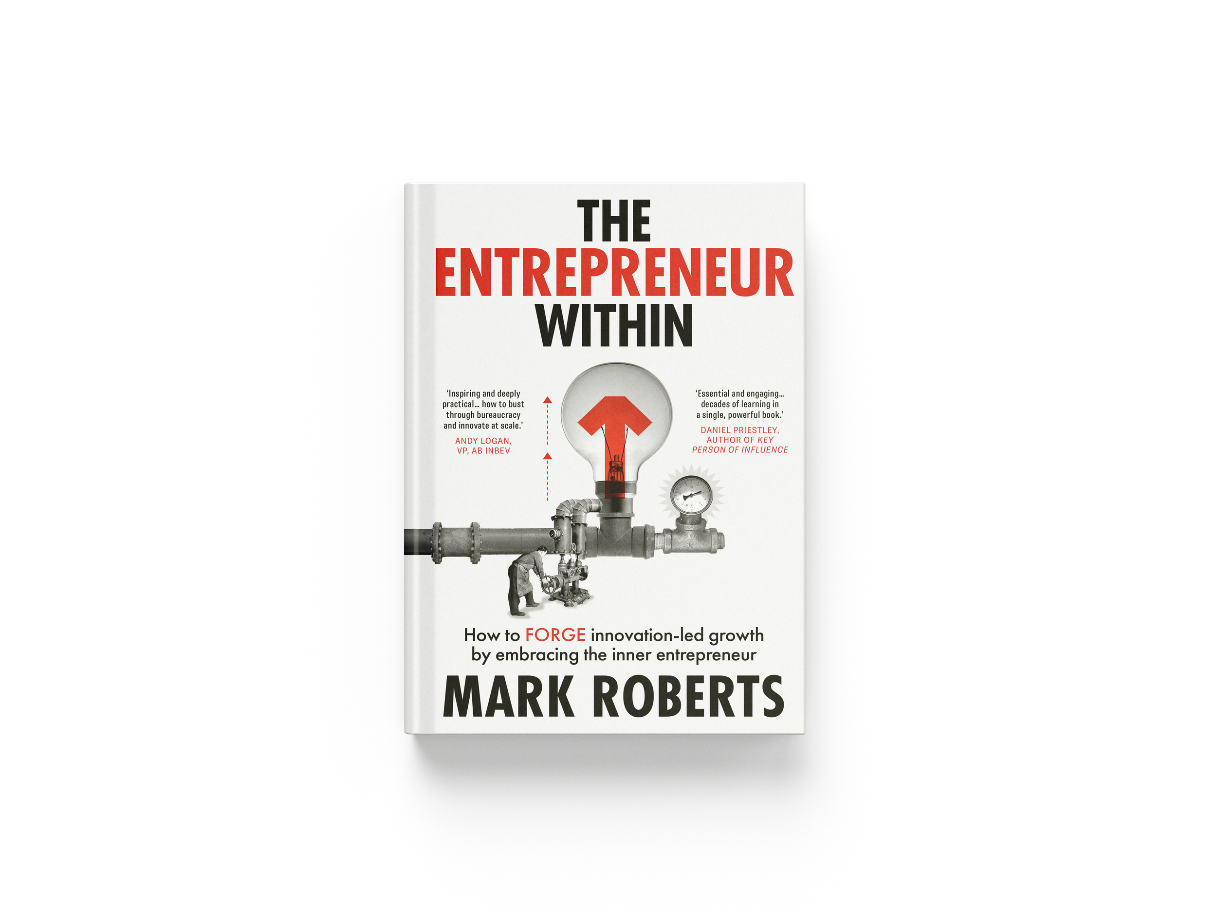TheEntrepreneurWithin_Mockupfinal3.png