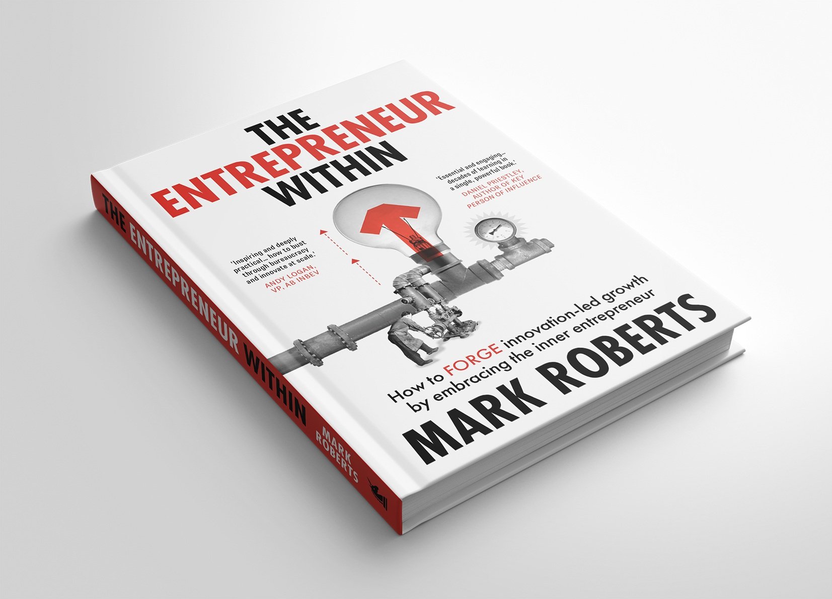 TheEntrepreneurWithin_Mockup_final.jpg