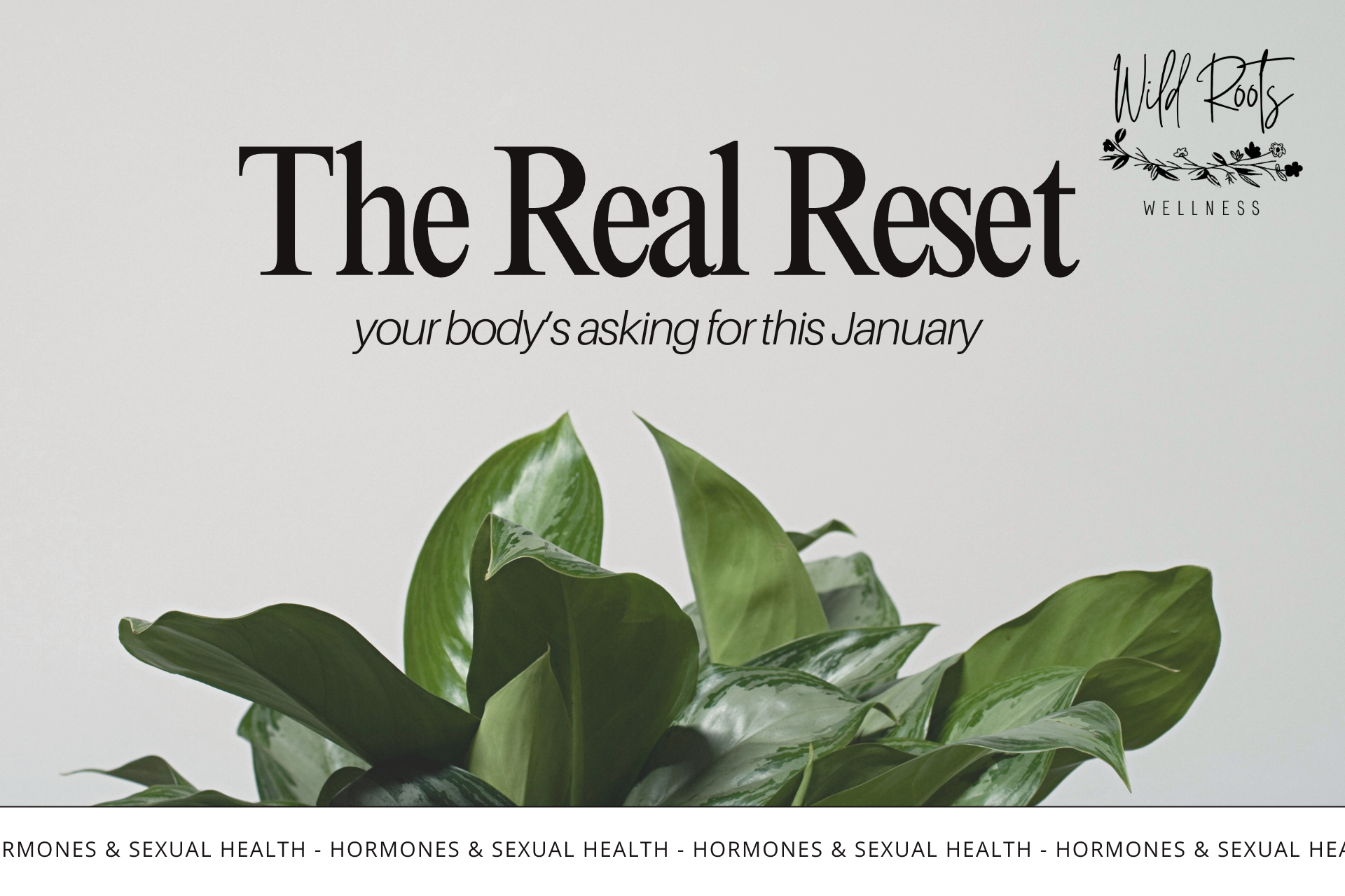 The True New Year Reset: Balancing Your Hormones After Holiday Chaos